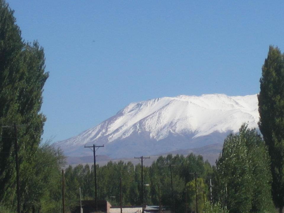 Terrazas En El Bosque Cabañas