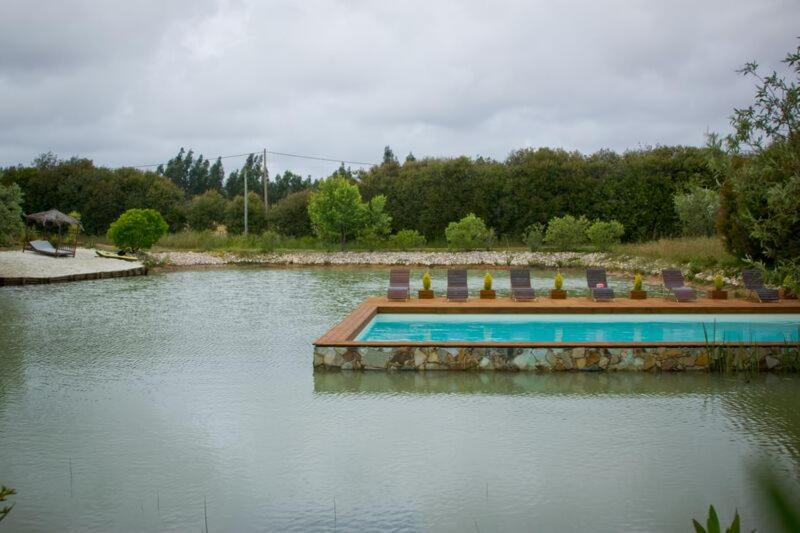 Photo 47