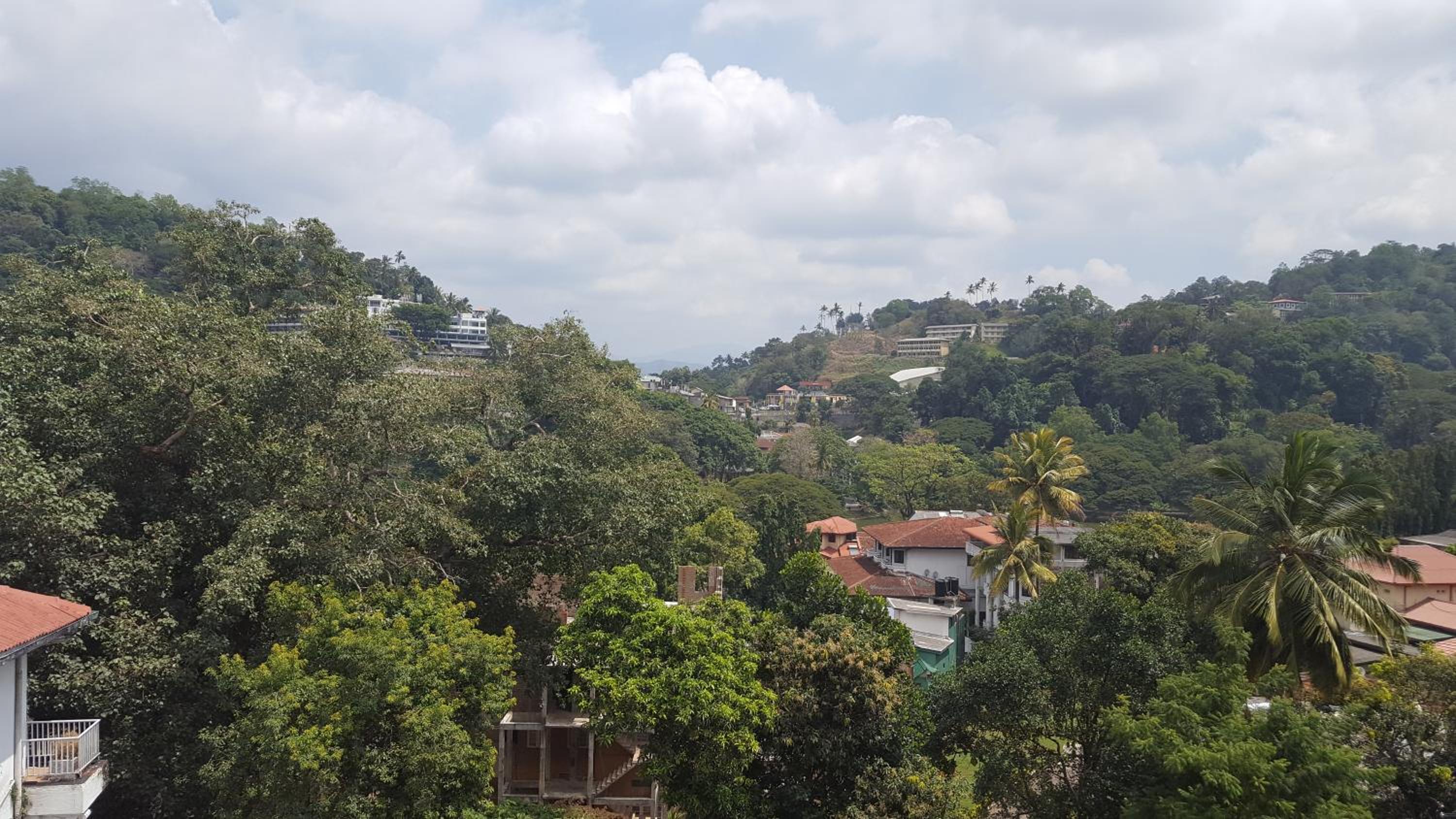 King Of Kandy