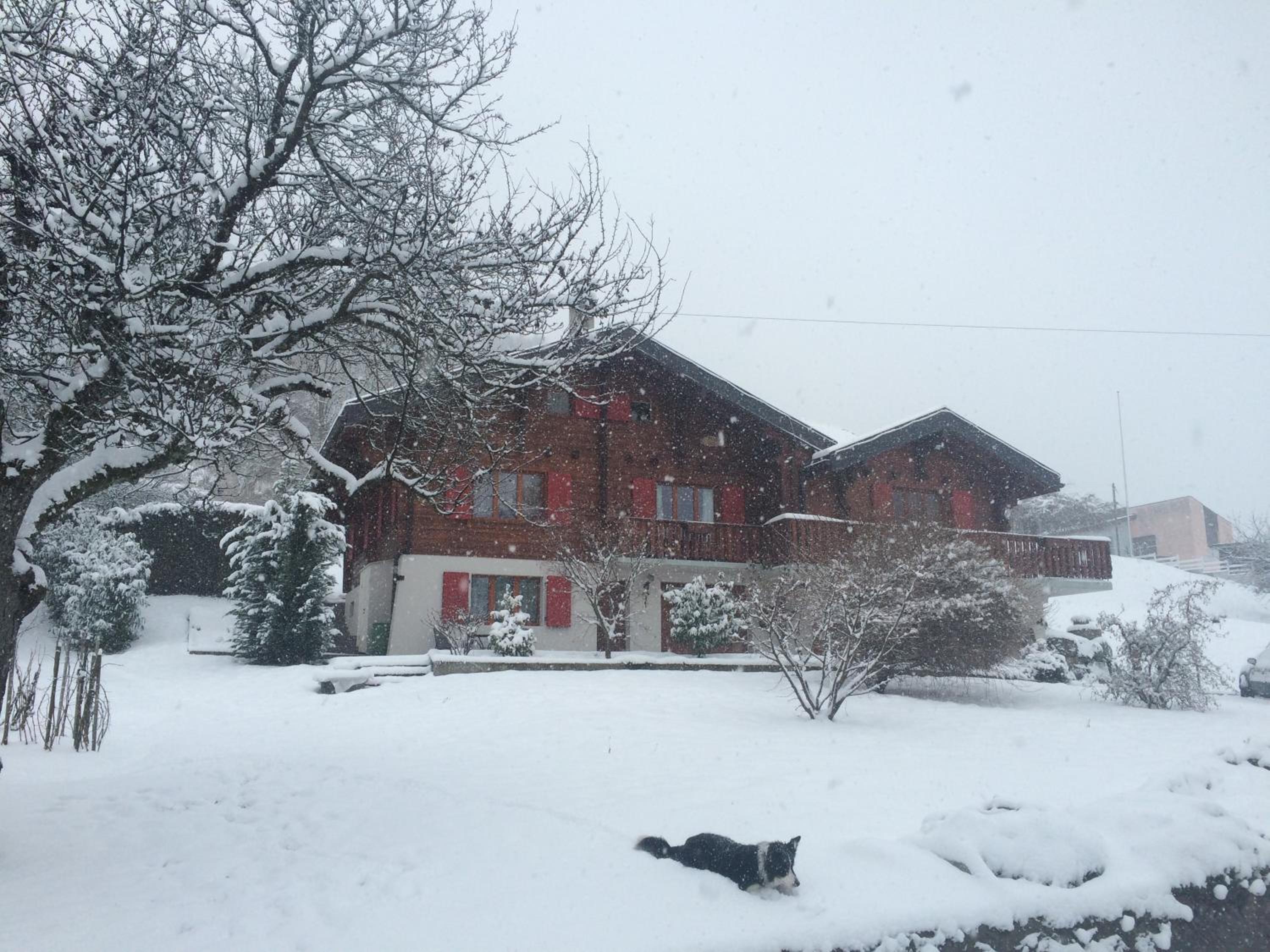 La Bergerie - chalet Alice