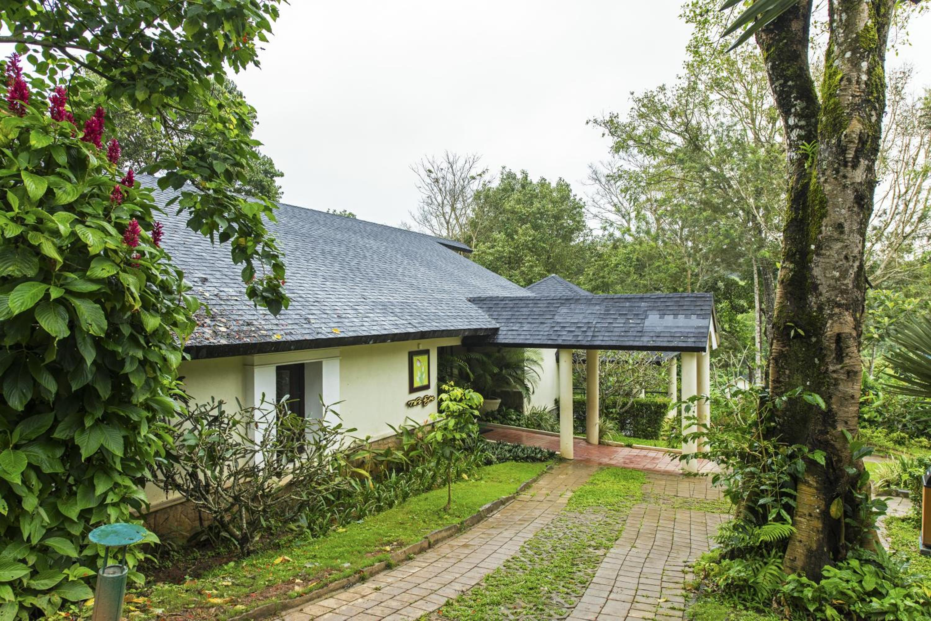 Photo 27