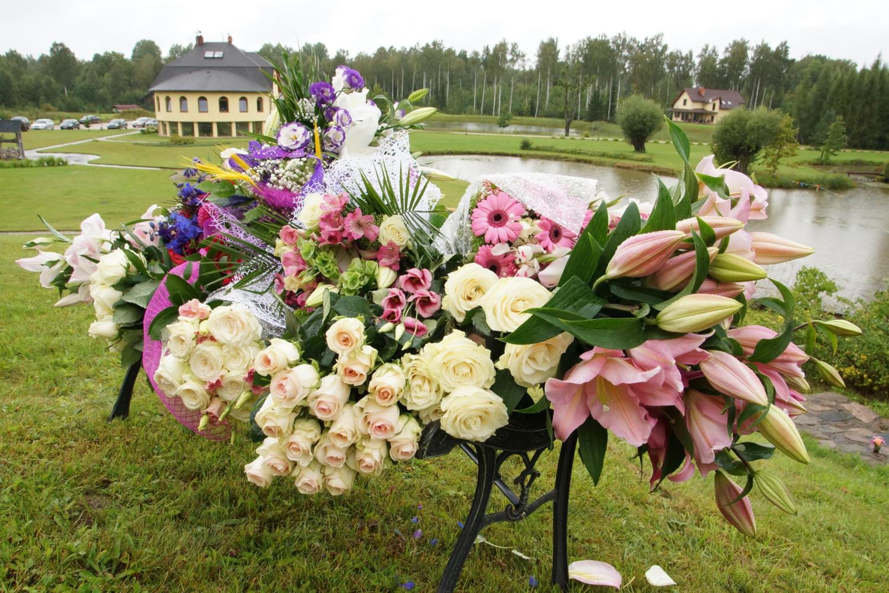 Photo 43