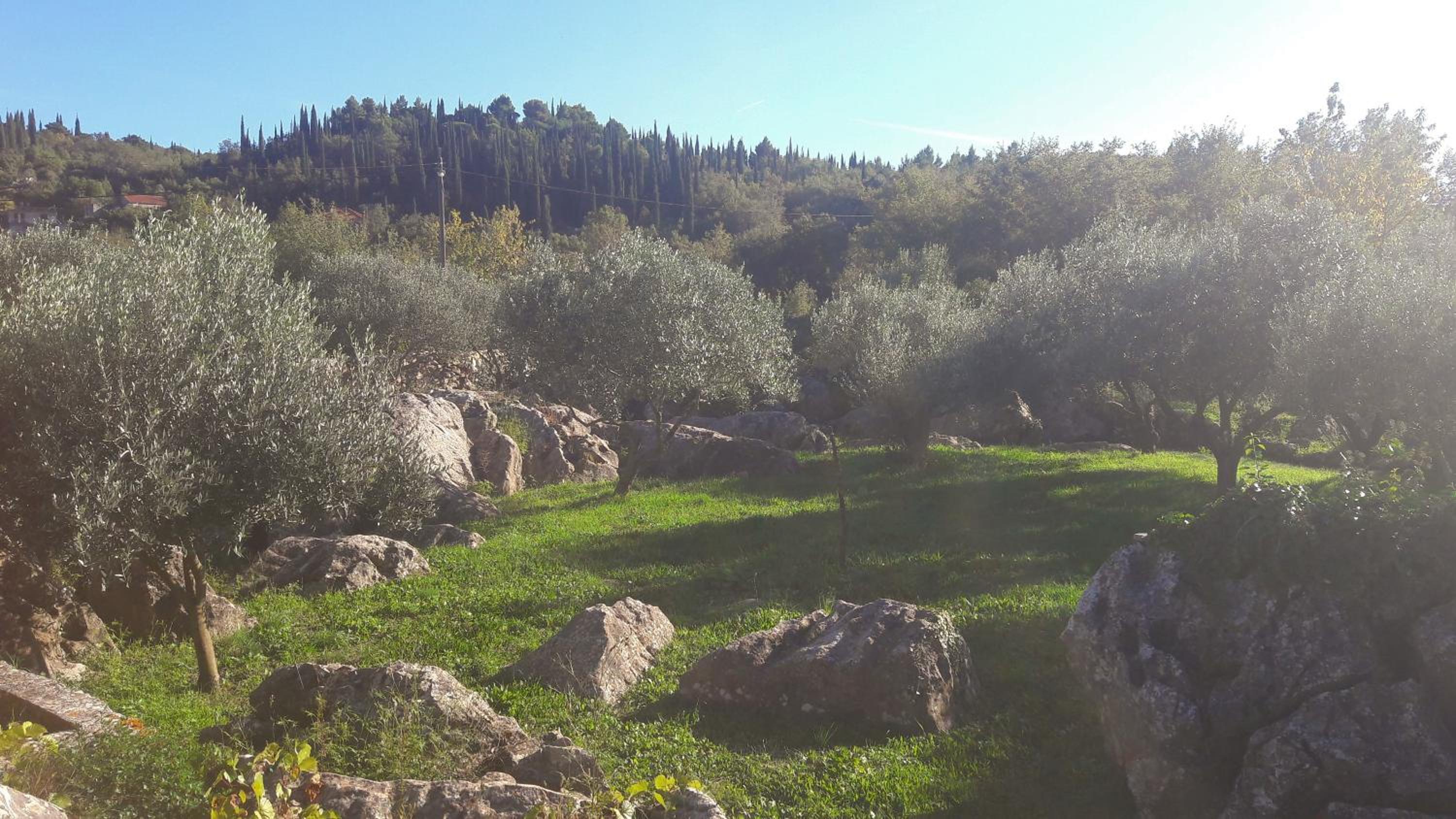 Kuća Cvjetković view 4