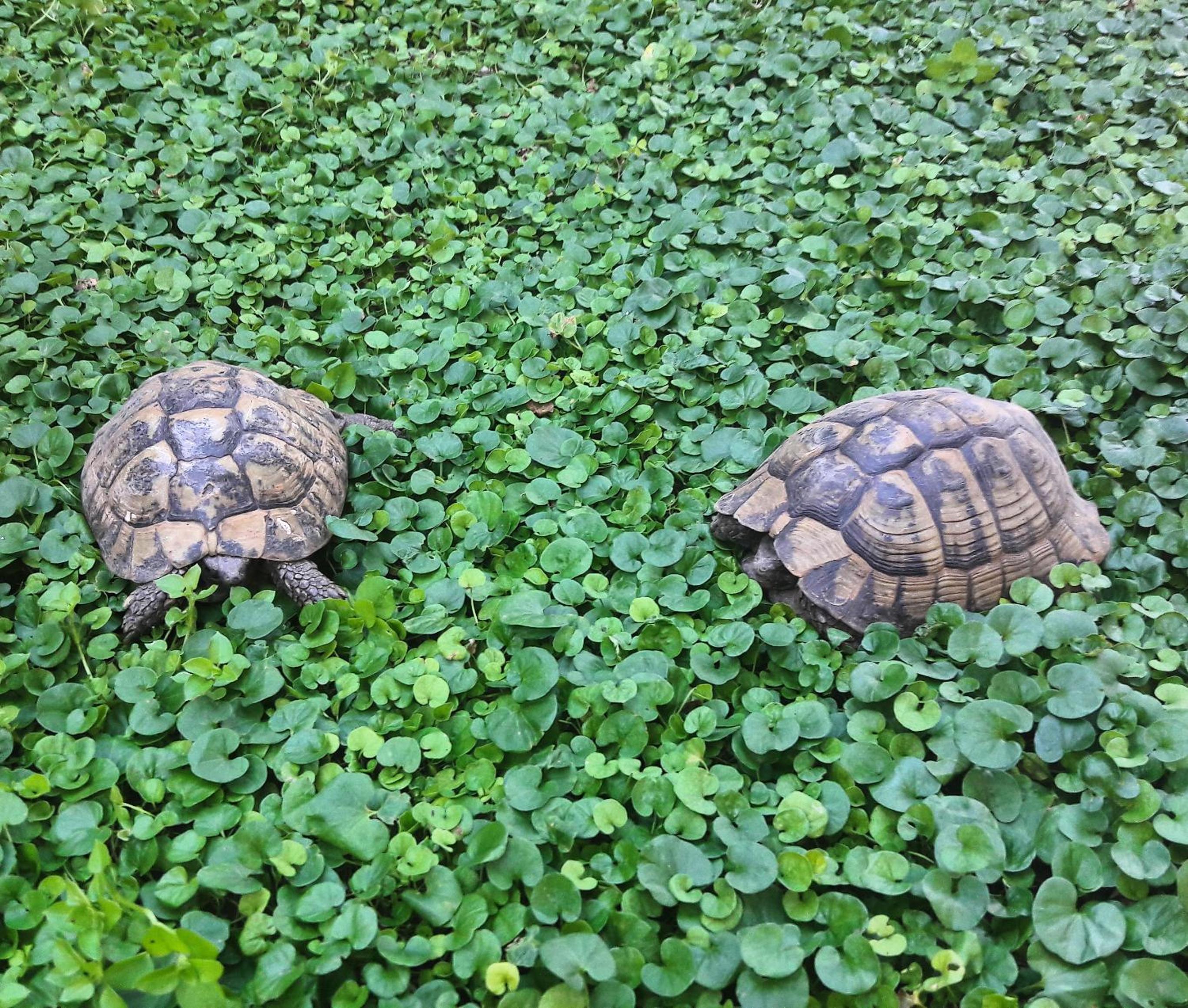 Photo 34