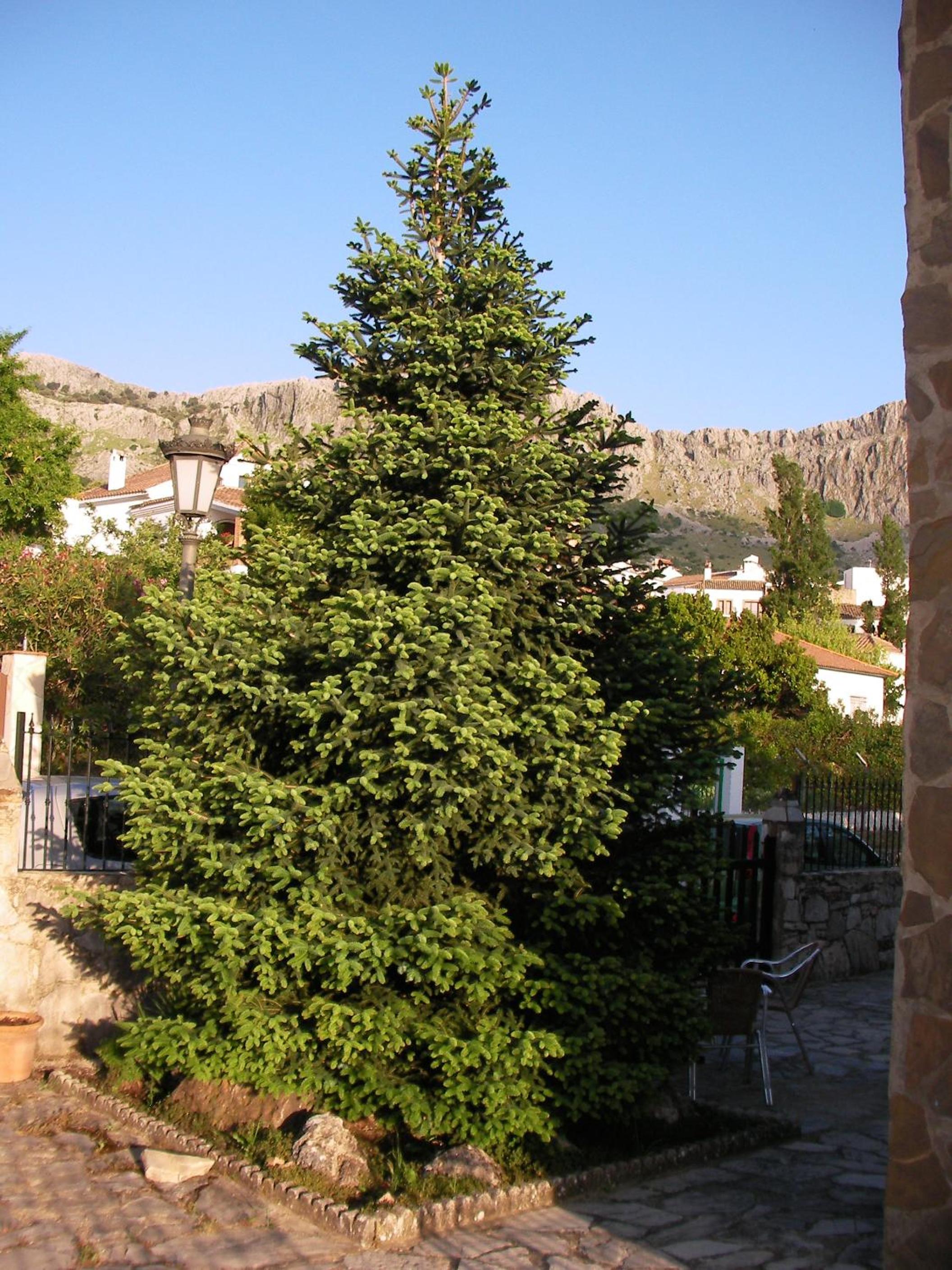Apartamentos Rurales Sierra Alta view 3