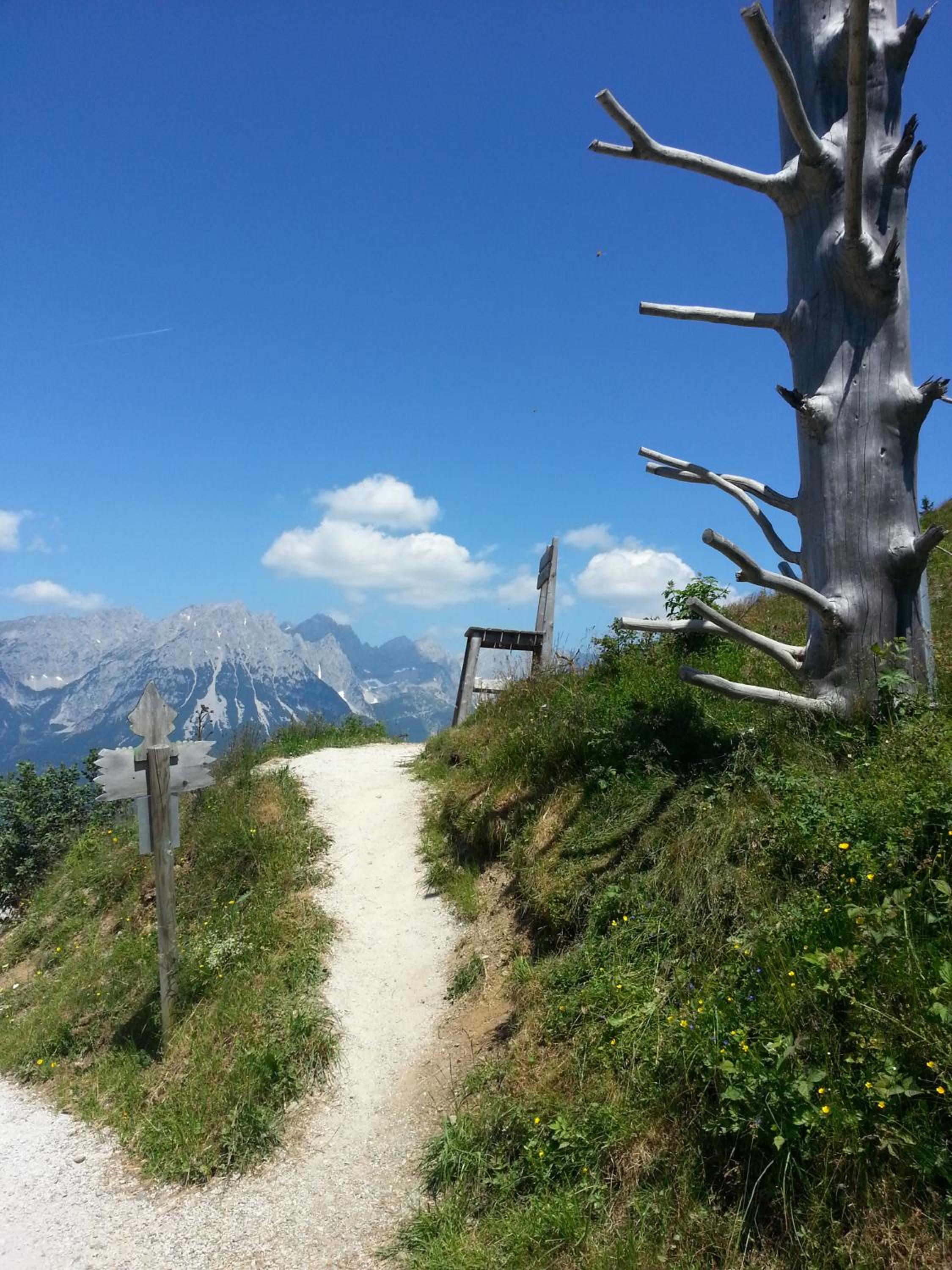 Kollerhof