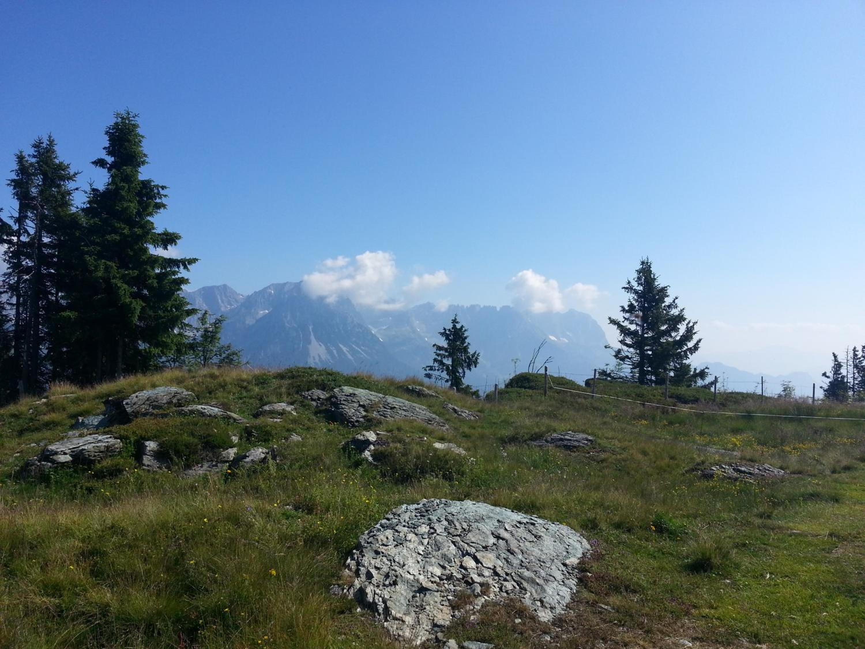 Kollerhof