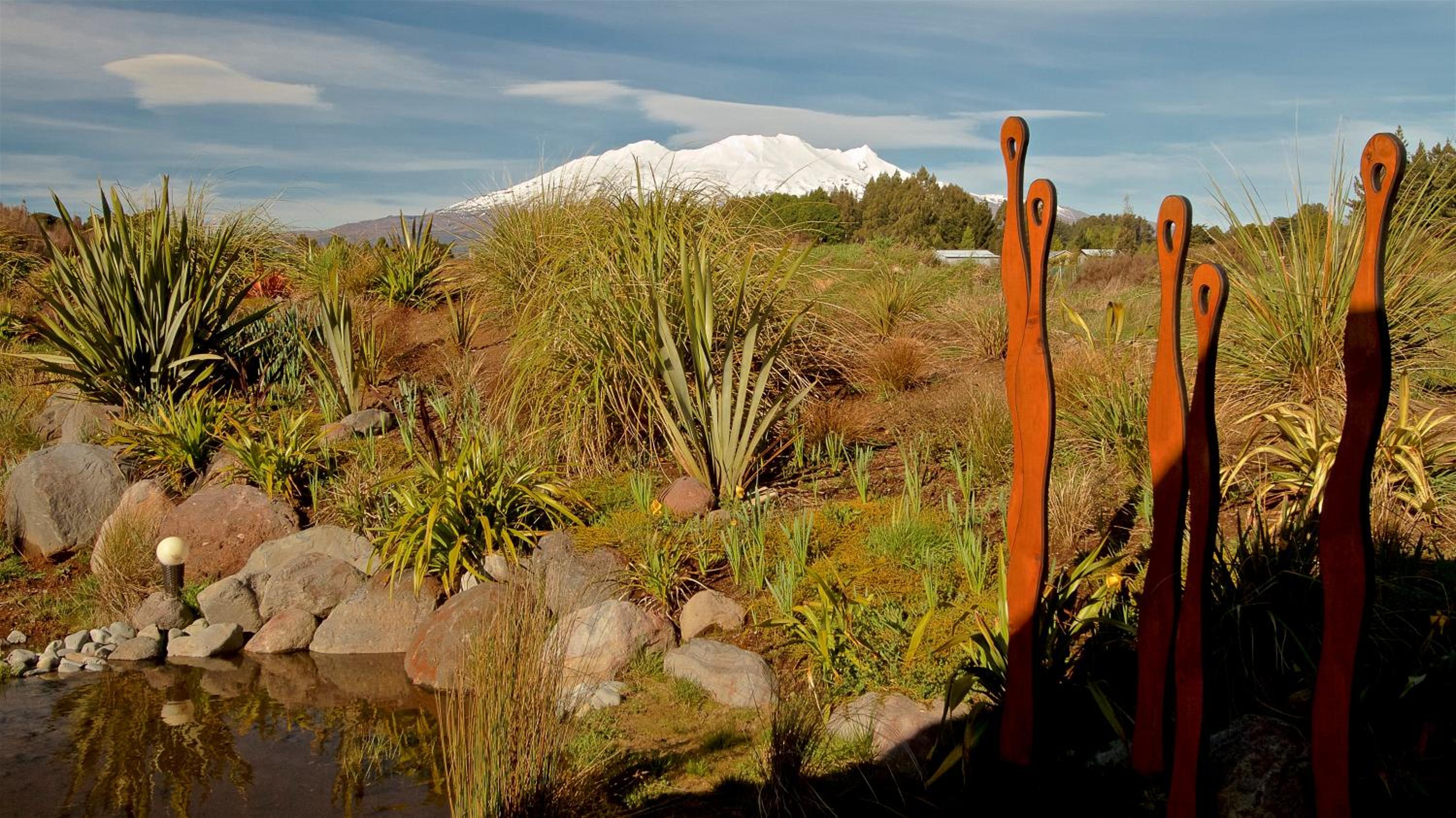 Tongariro Suites