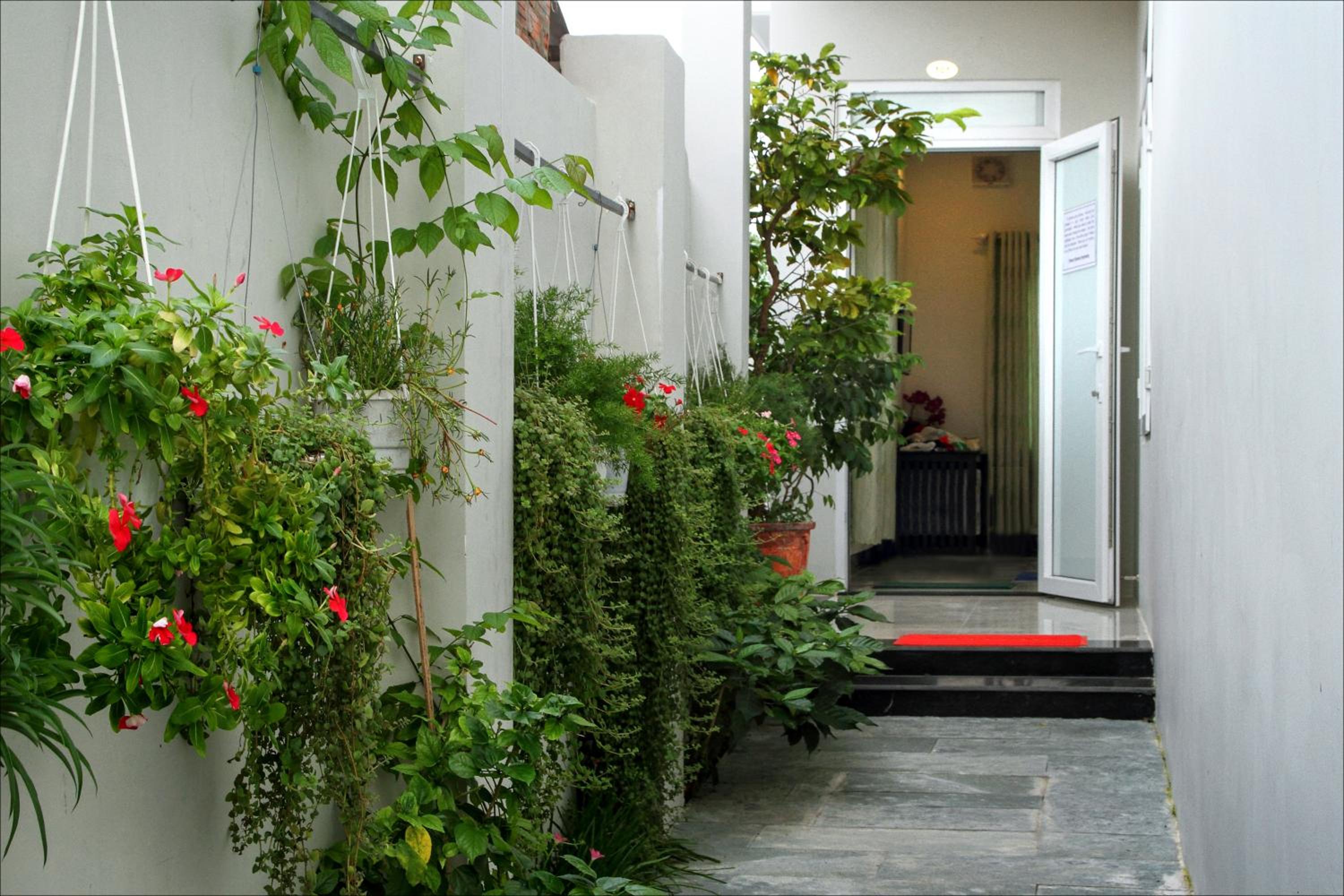 Flame Flowers Homestay