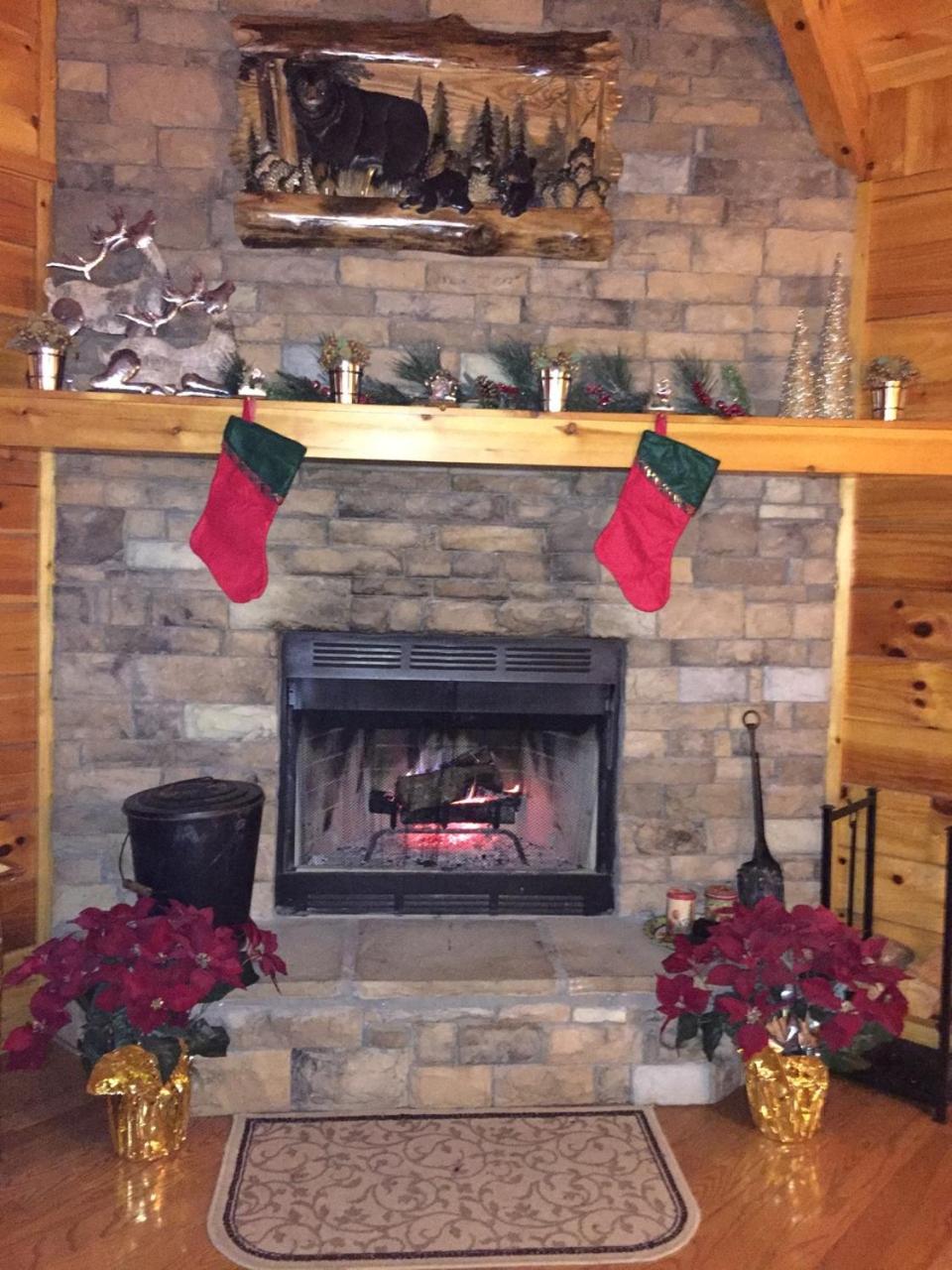 Photo 12