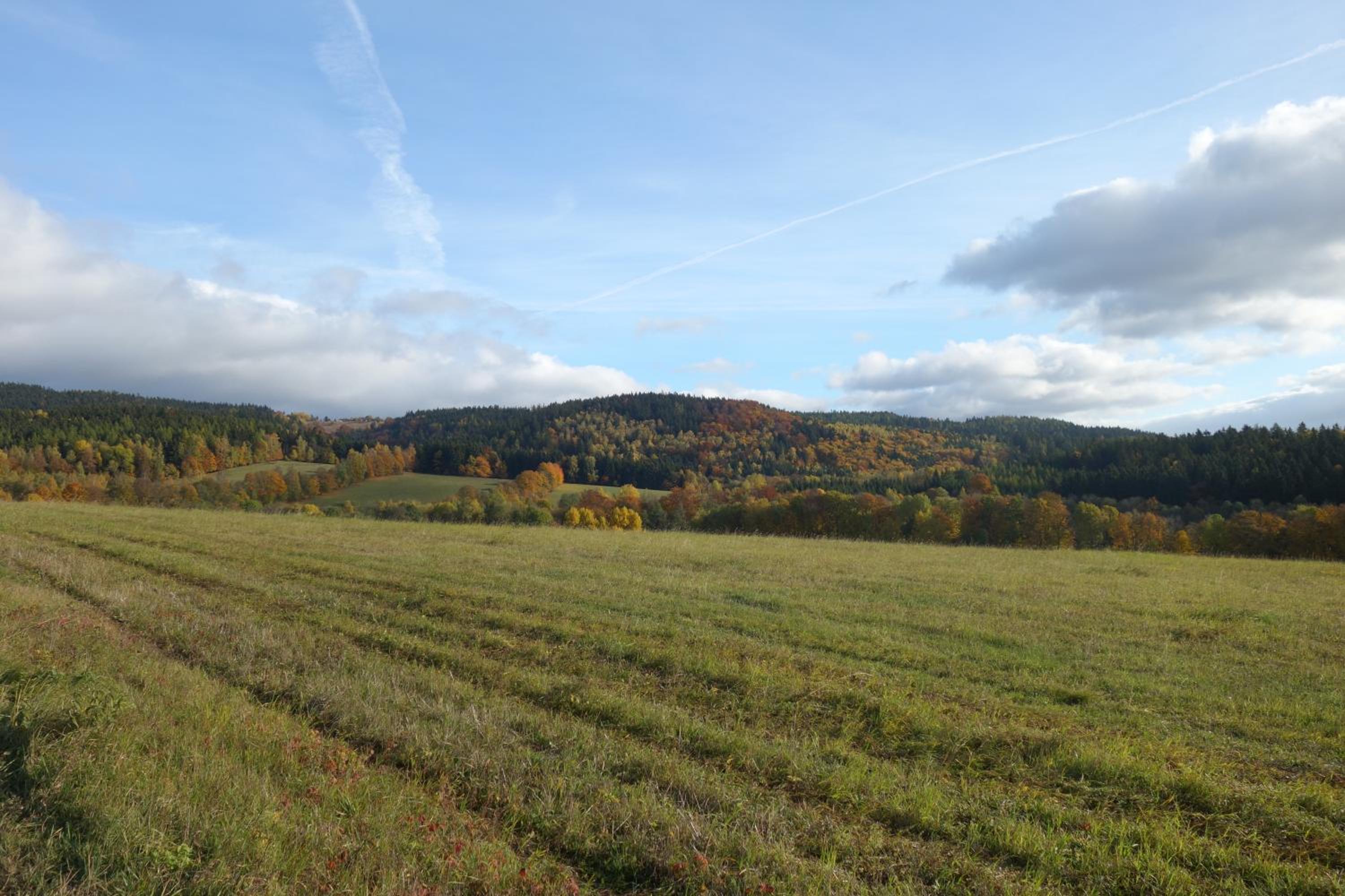 MausHaus view 5