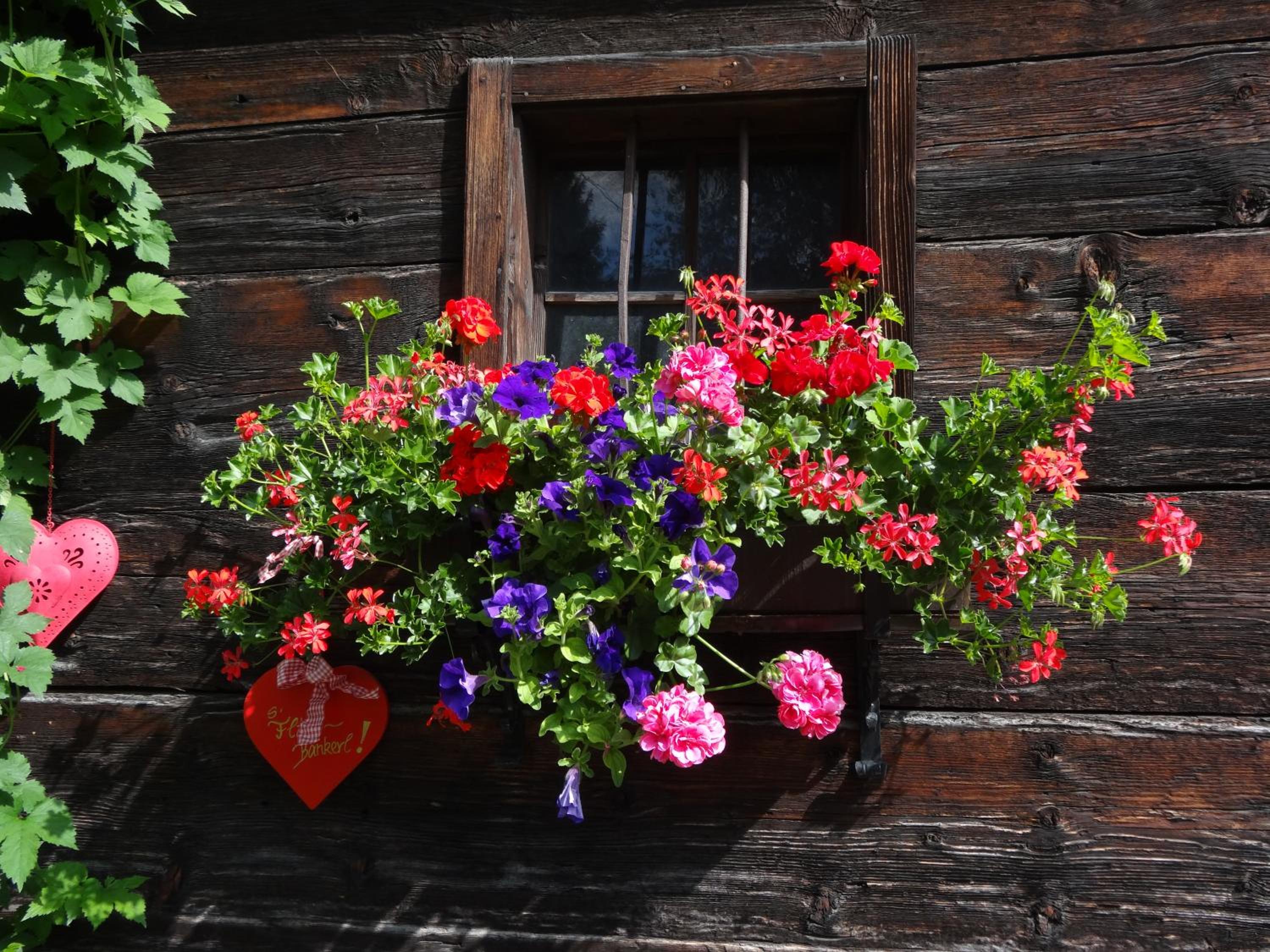 Landhaus Tippl