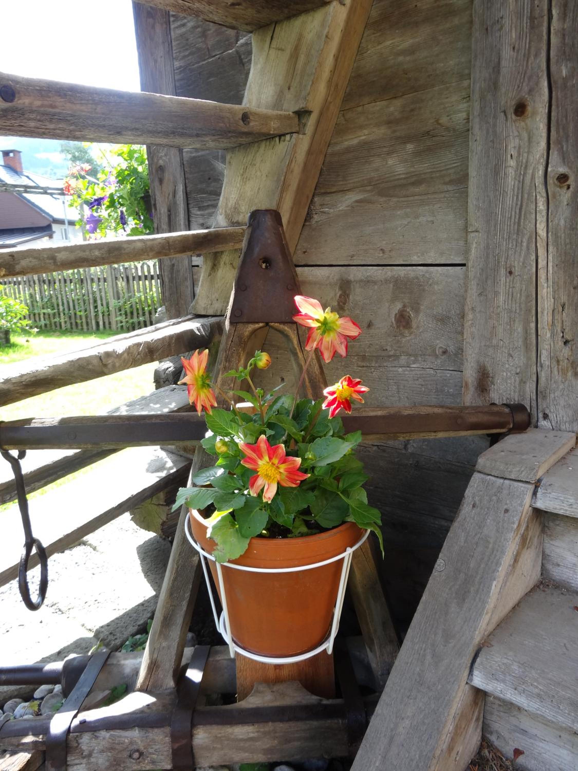 Landhaus Tippl