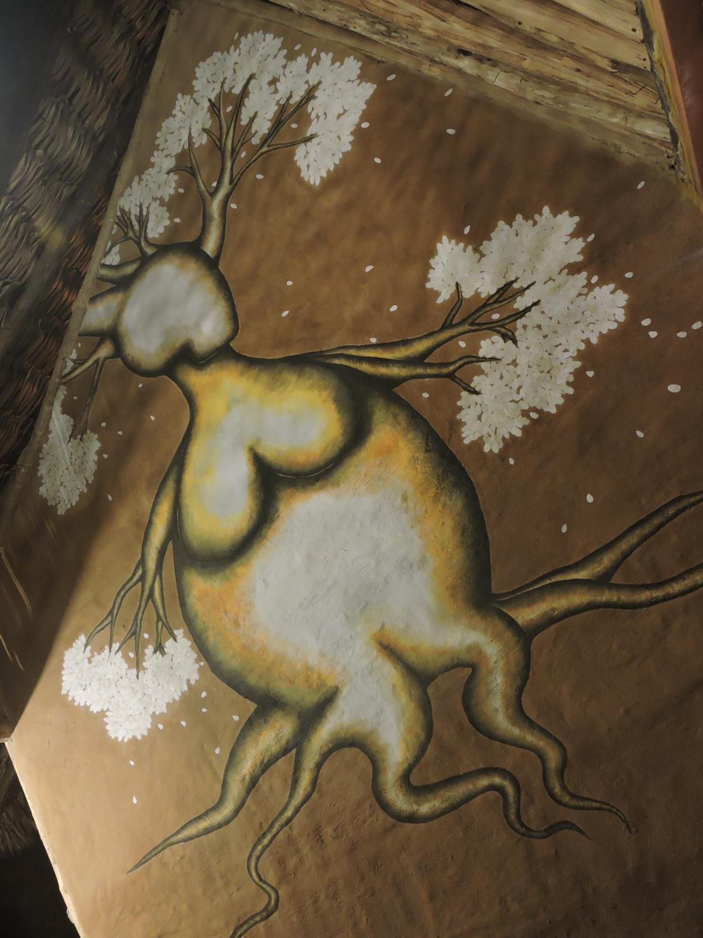 Photo 50