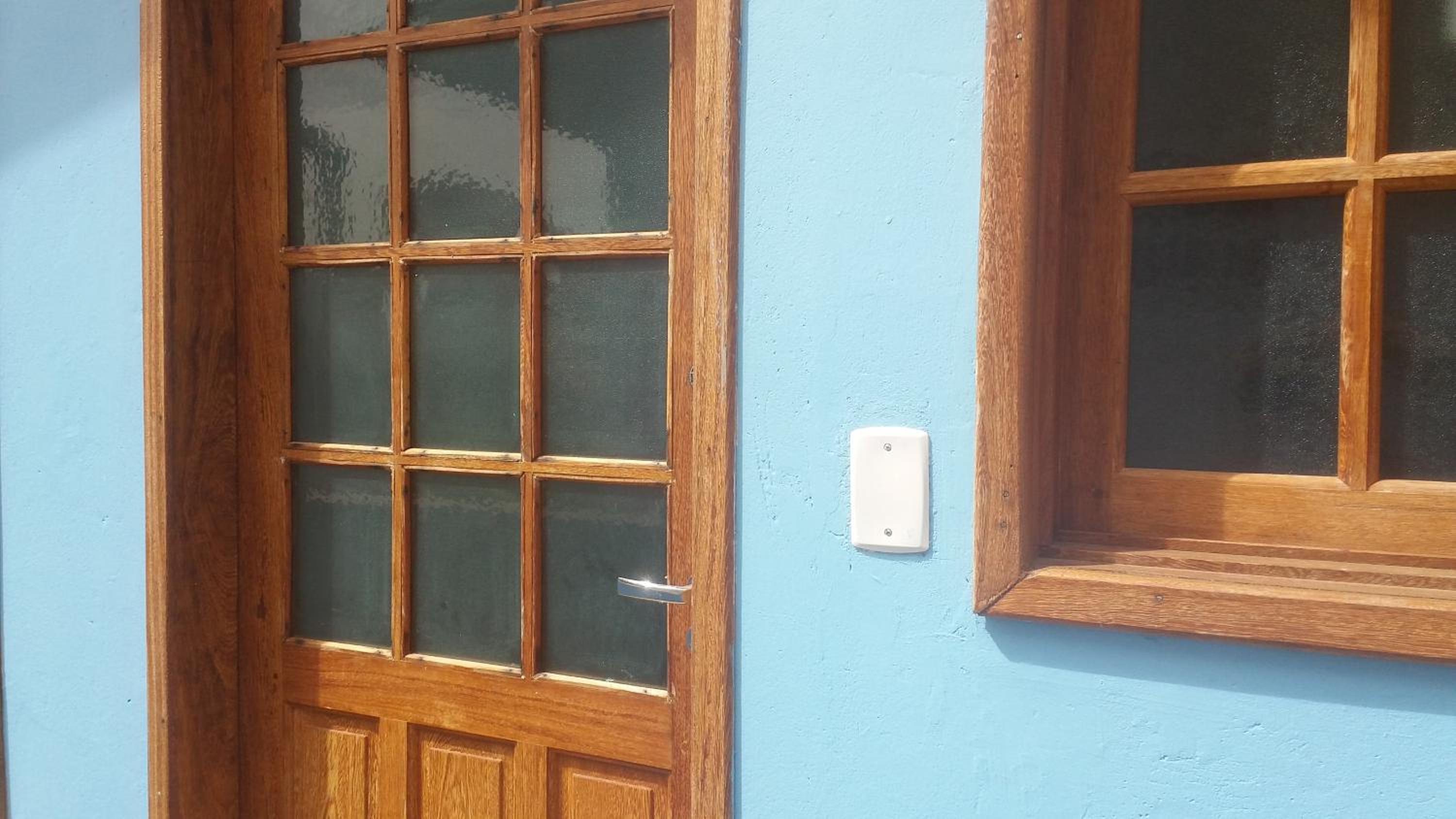 Tartaruga Azul