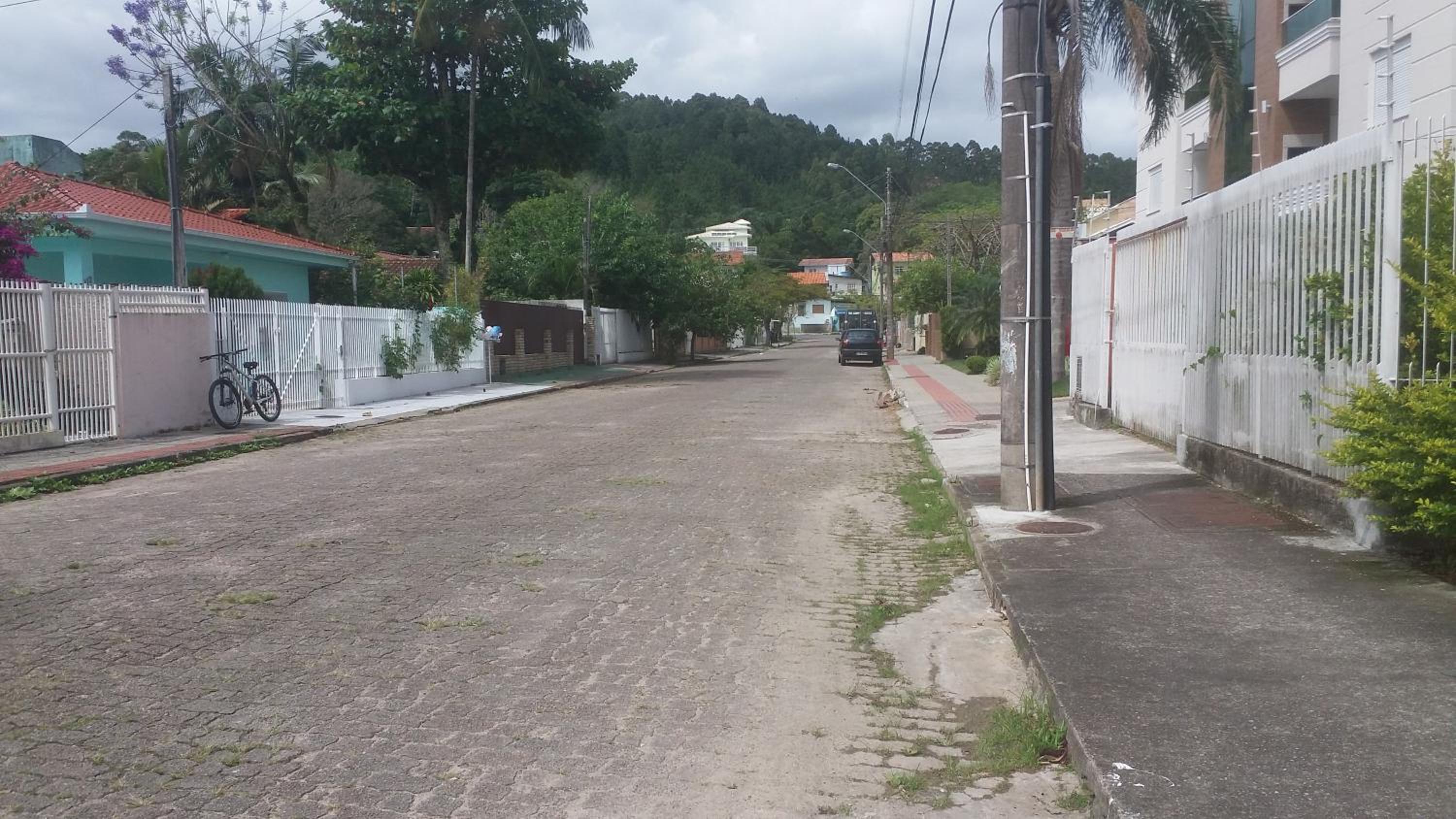 Tartaruga Azul