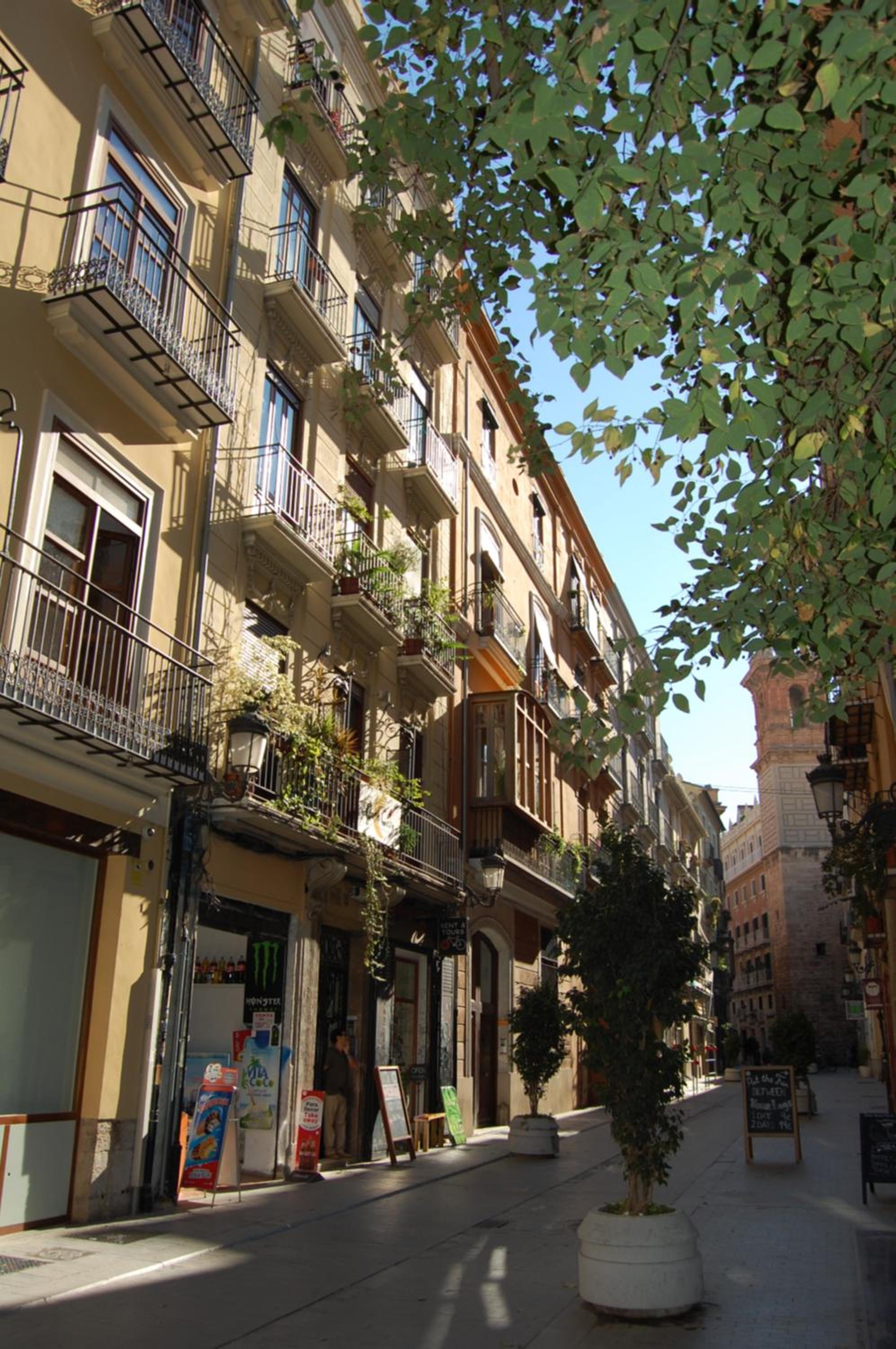 Eco-Friendly Apartments