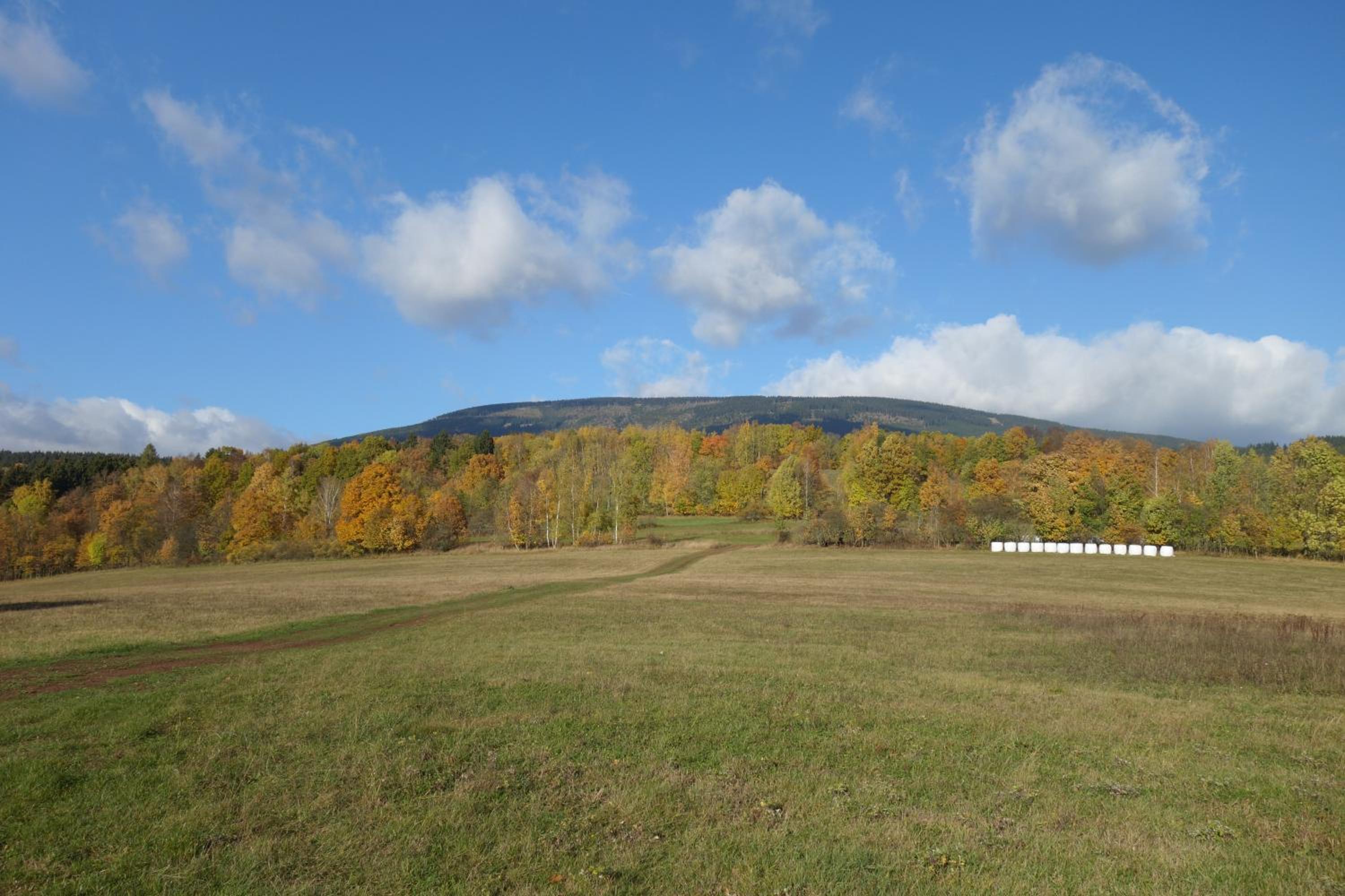 MausHaus view 4
