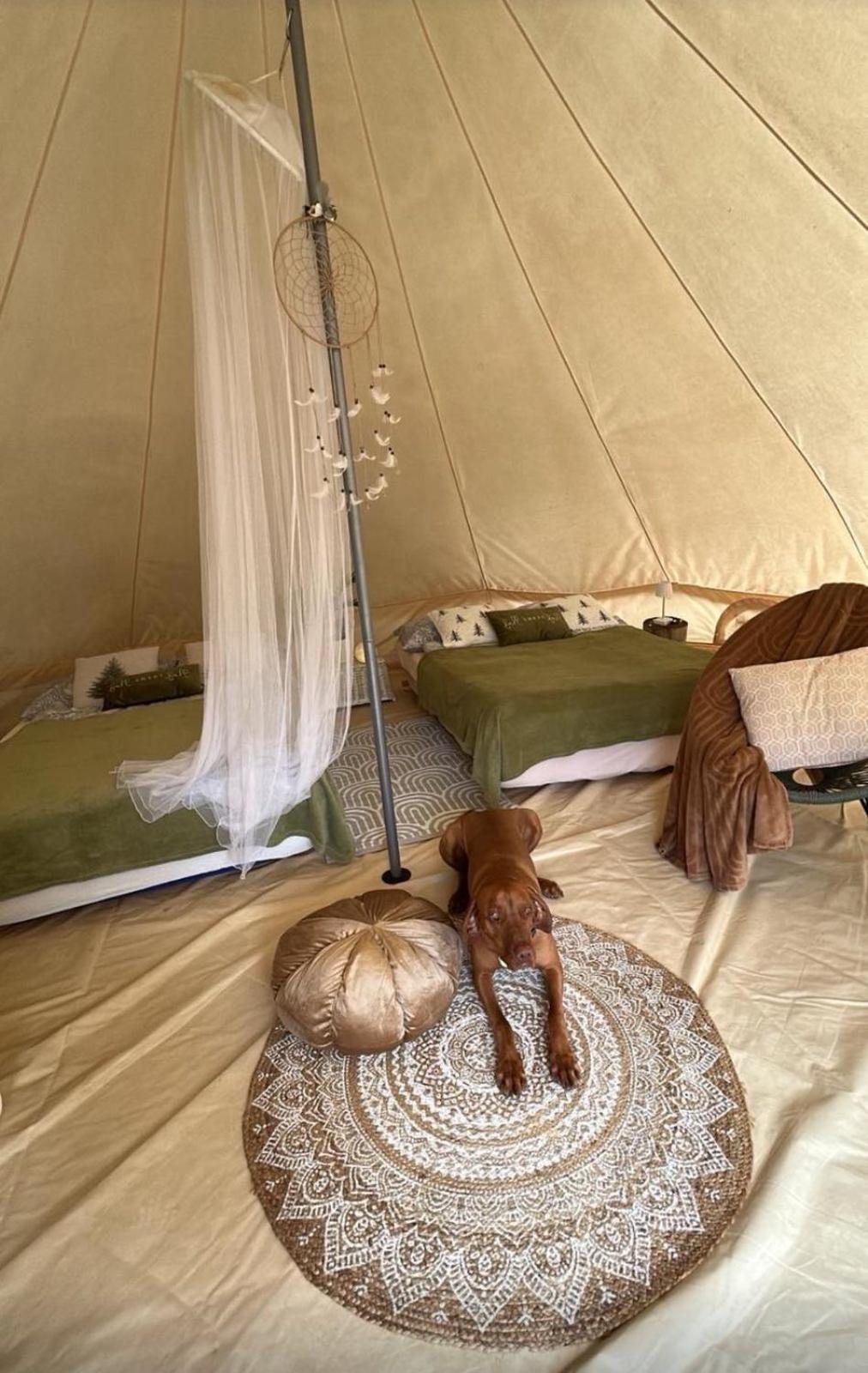 Hillside Bio Glamping, photo 11