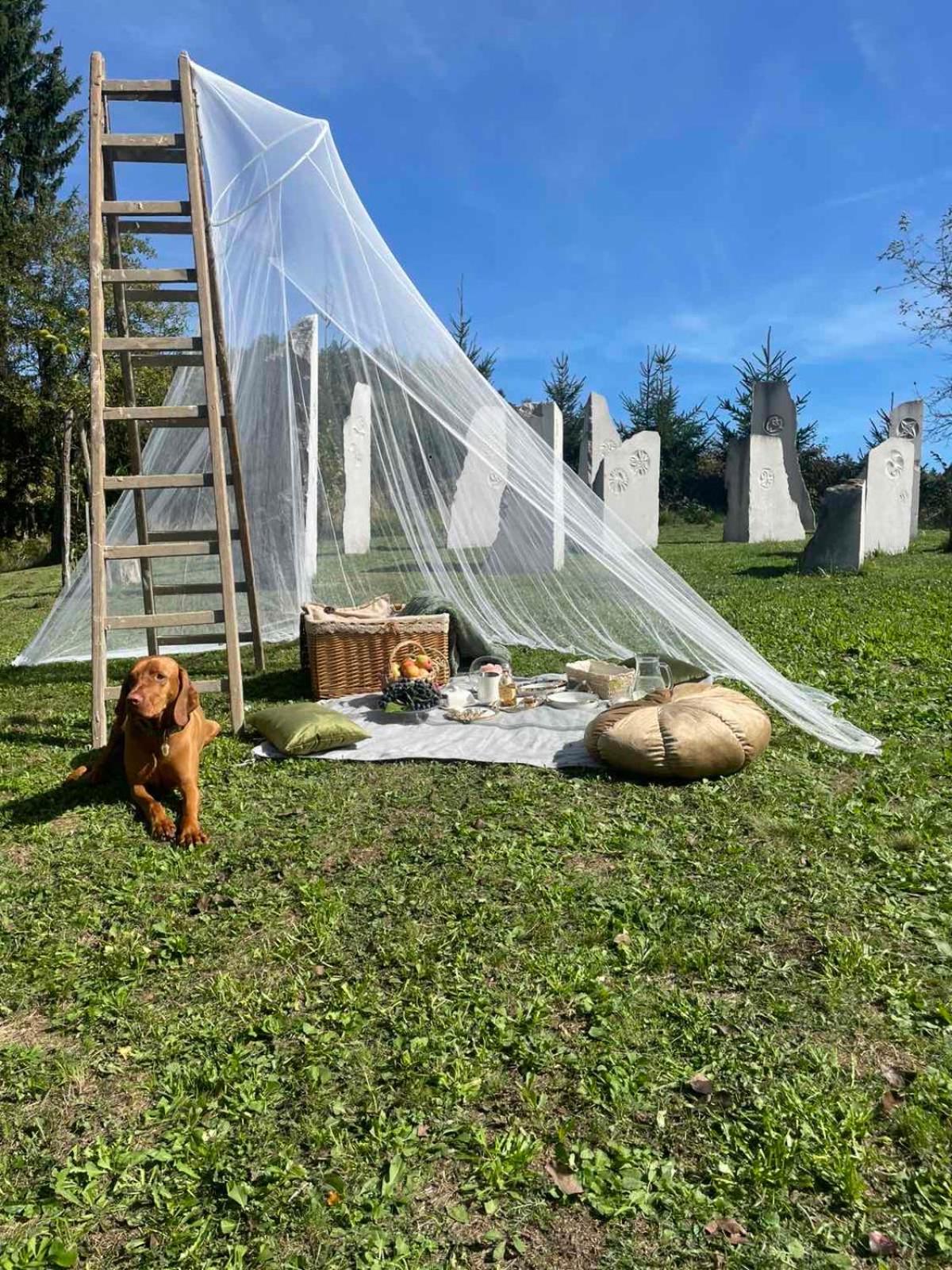 Hillside Bio Glamping, photo 41