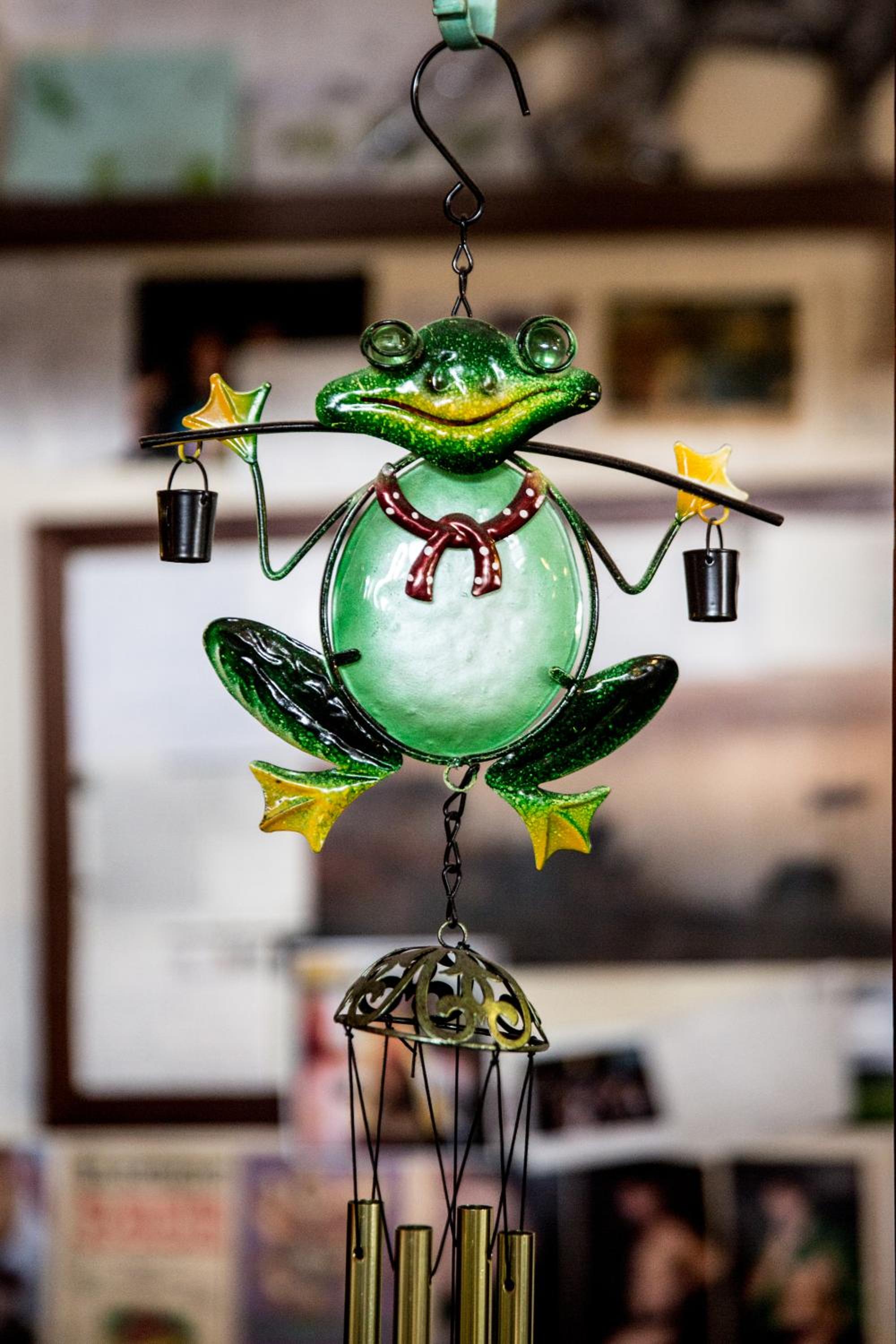 The Pickled Frog