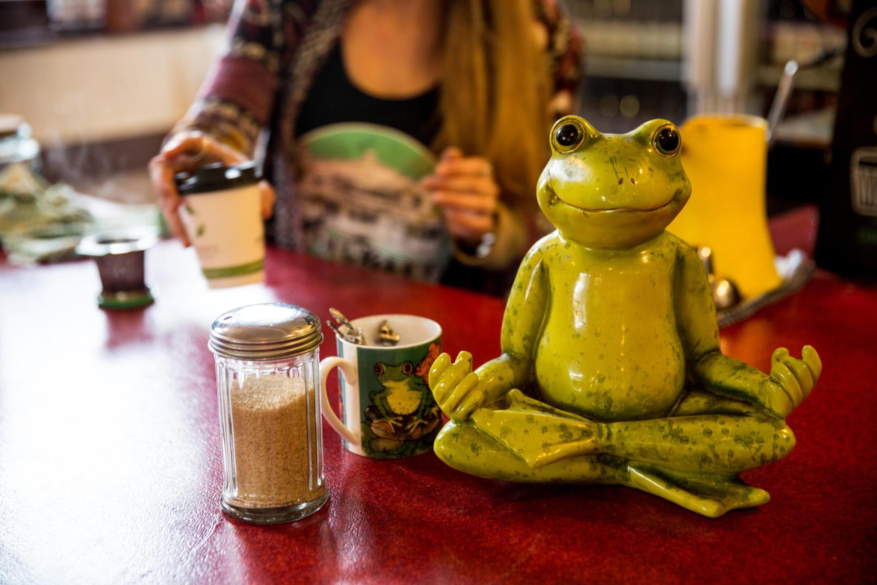 The Pickled Frog