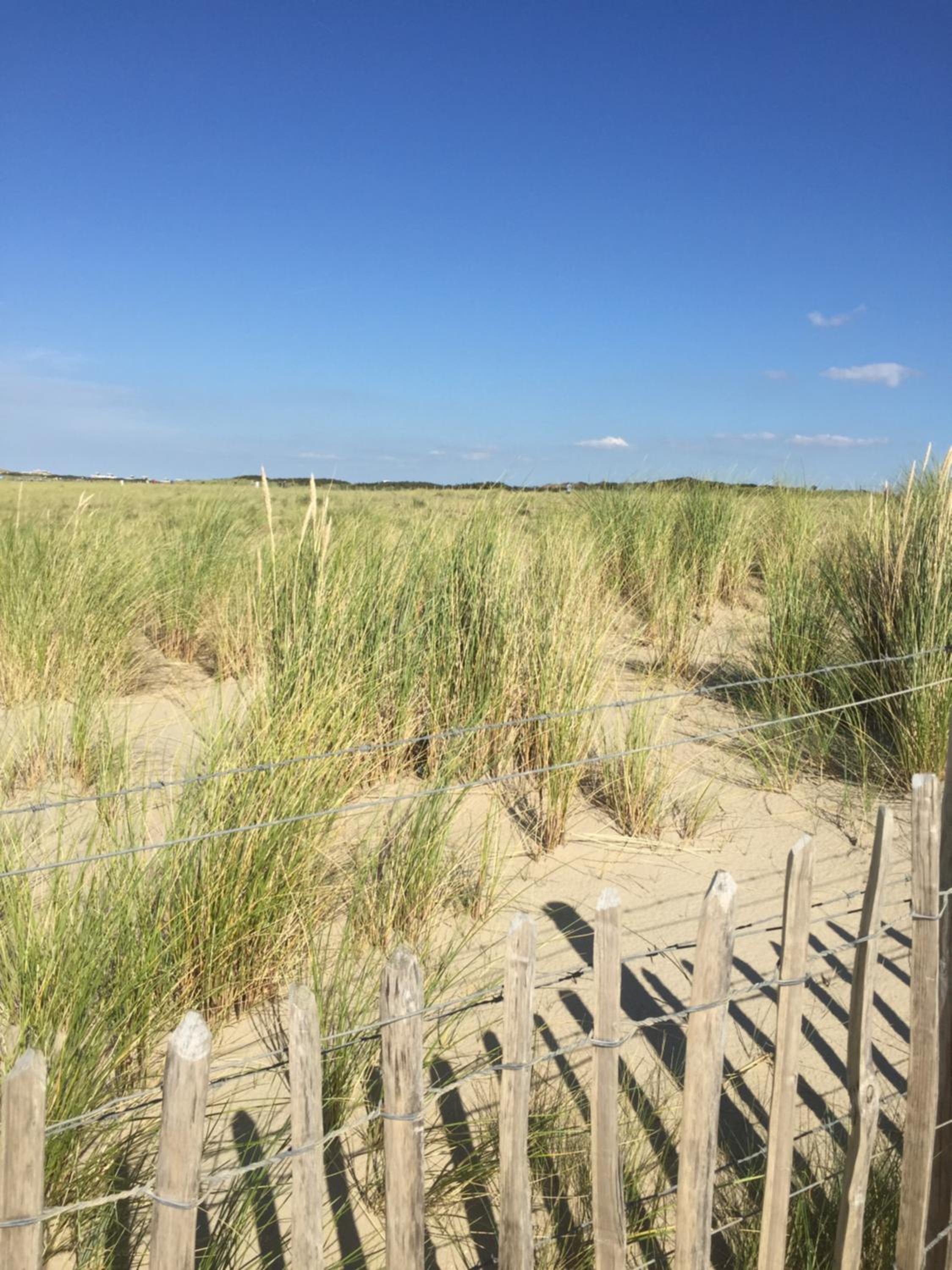 Haags Duinhuis - familyfriendly holidayhome view 5