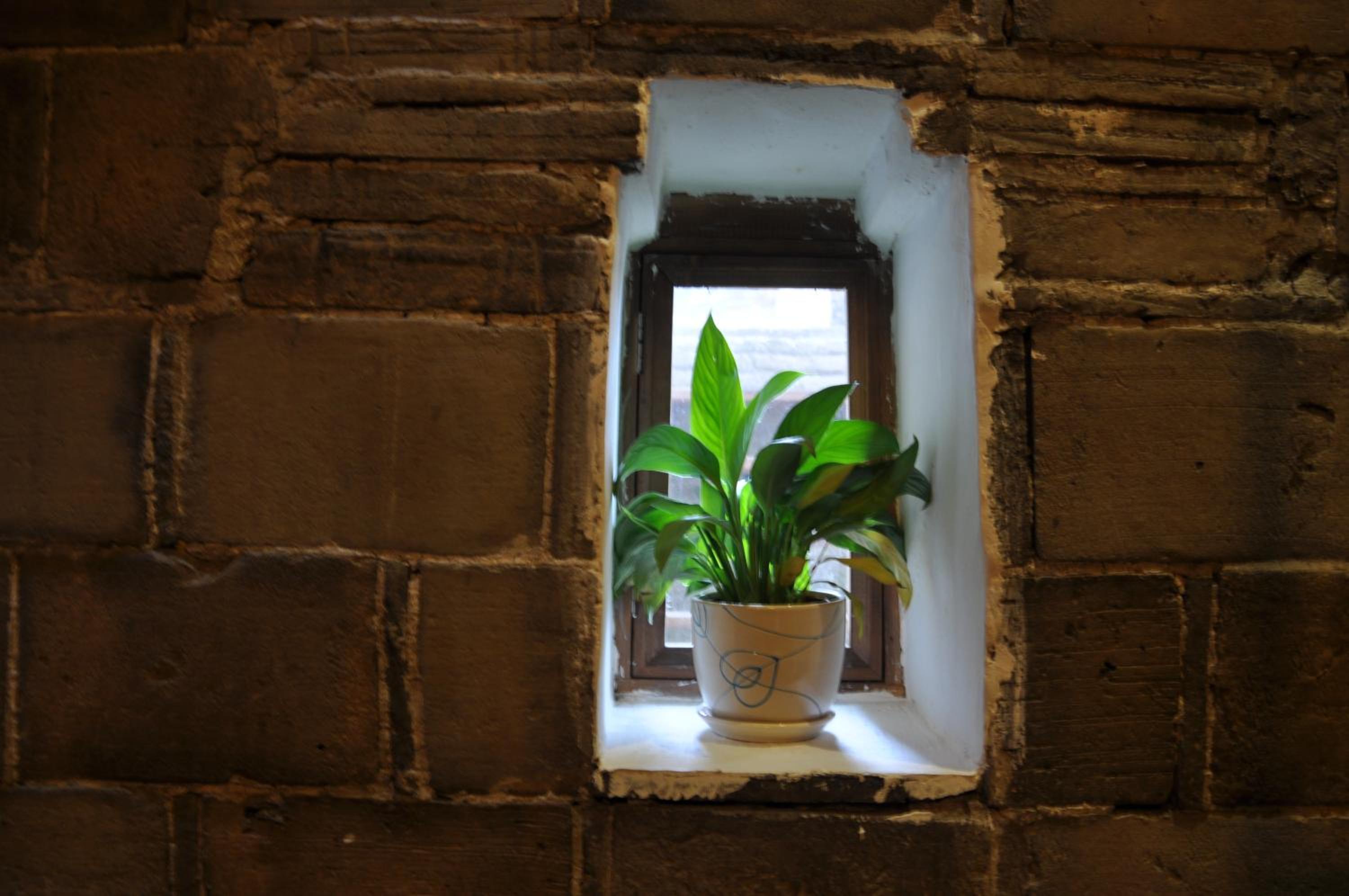 WuYuan QiYe YanXiang Guesthouse