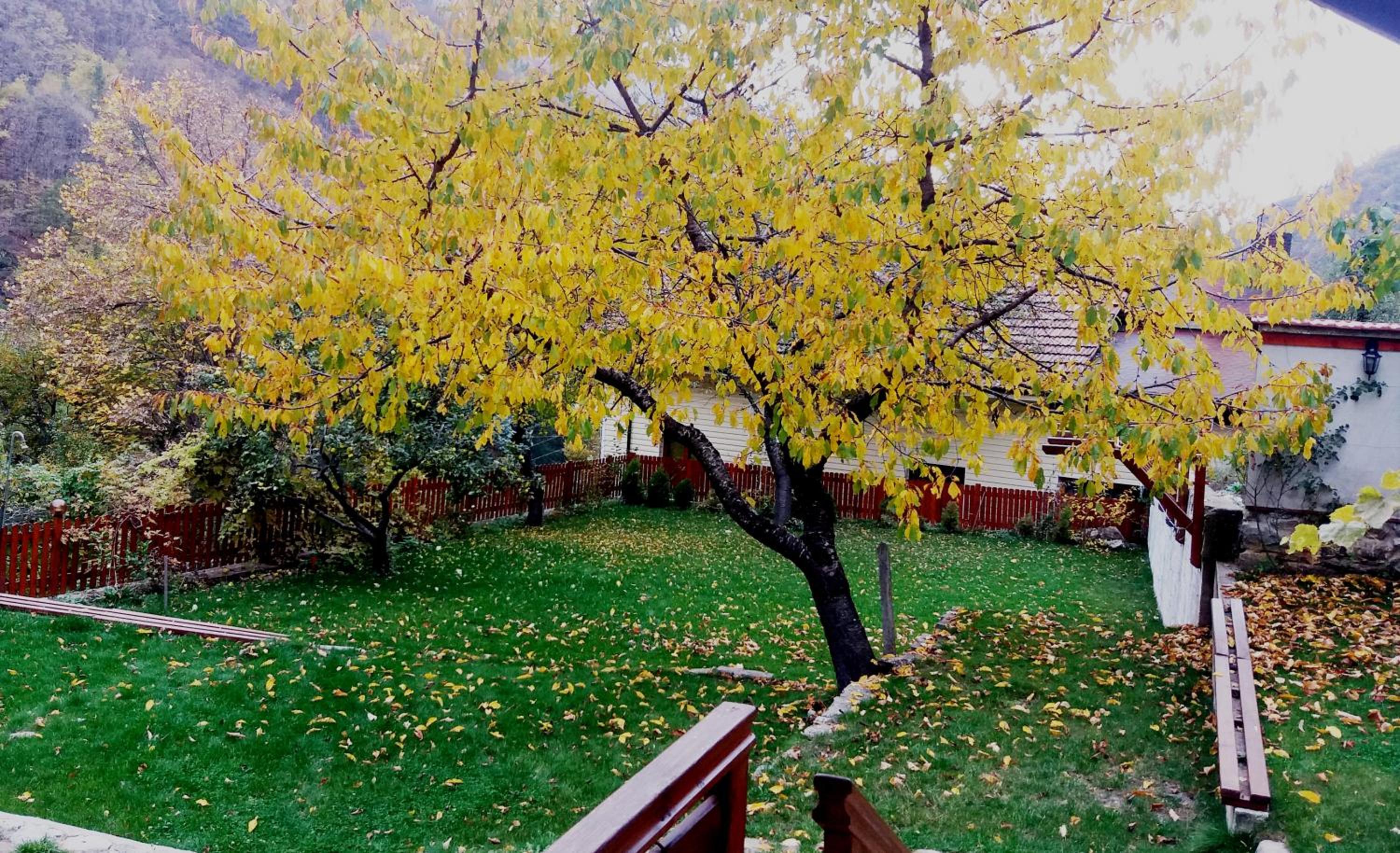 Photo 32