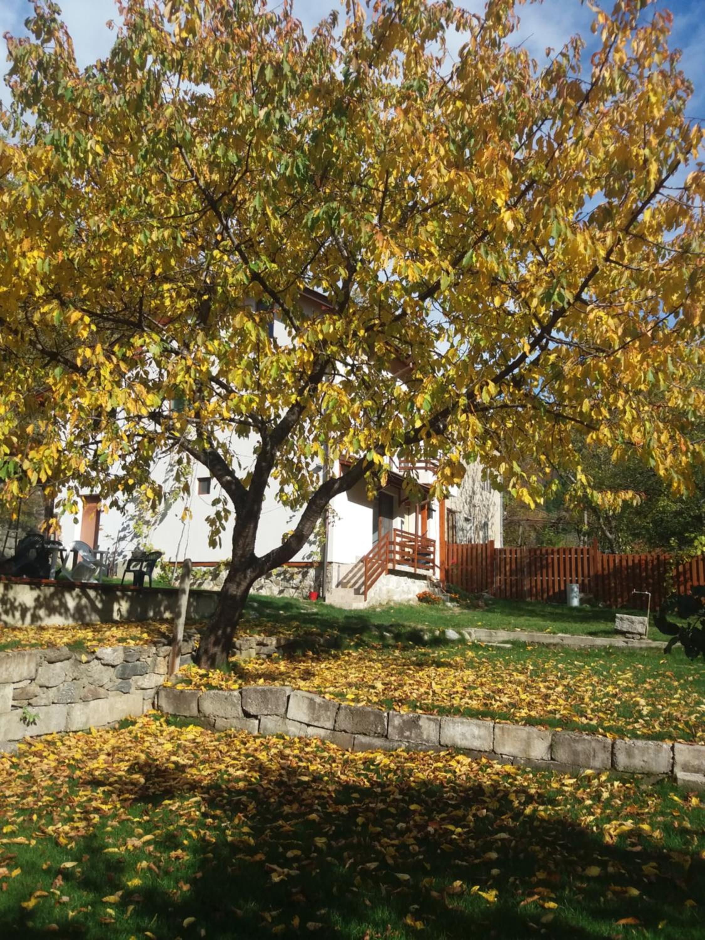 Photo 33
