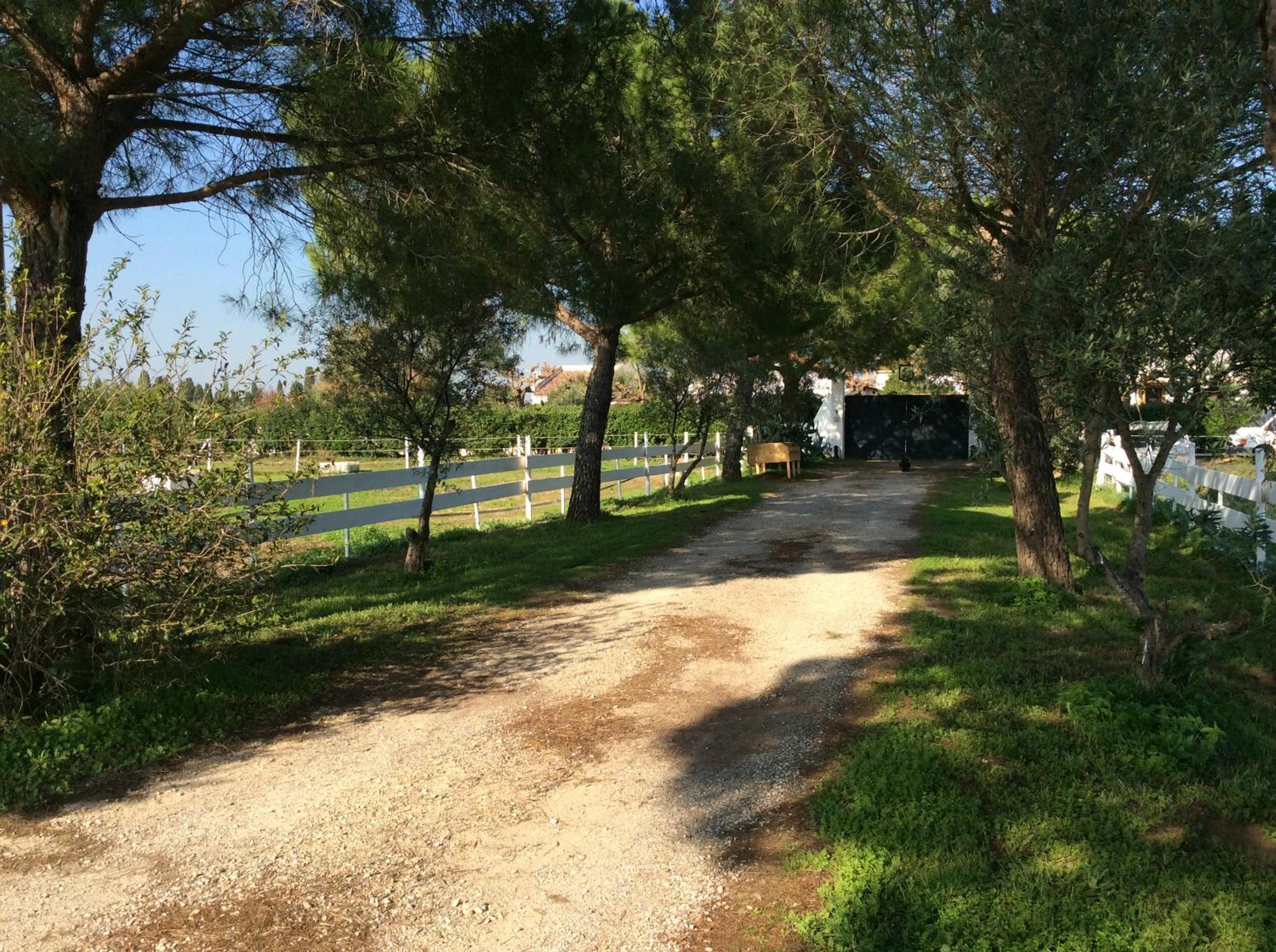 Terre de Boheme, photo 22