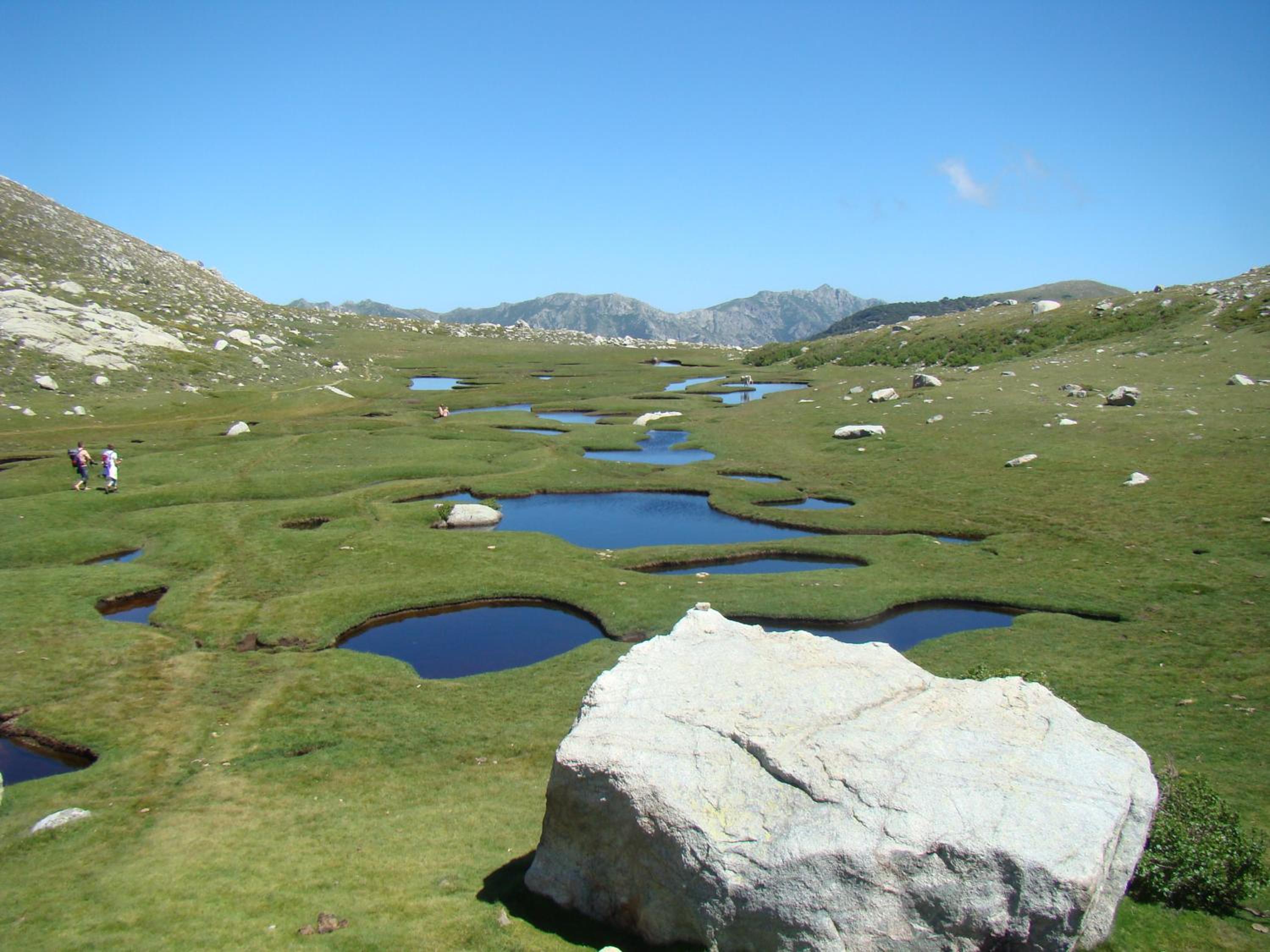 Photo 45