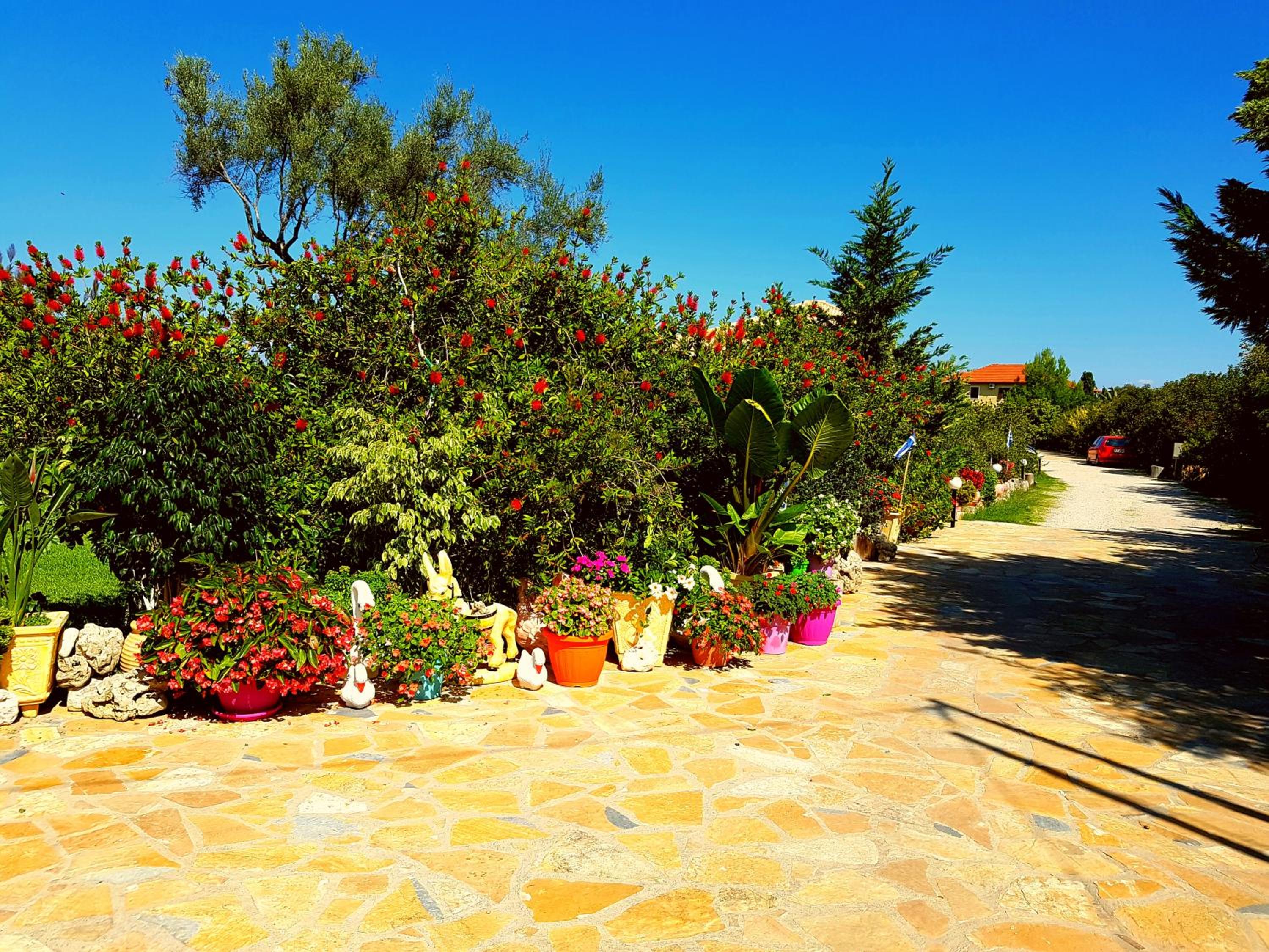 Evaggelia Studios