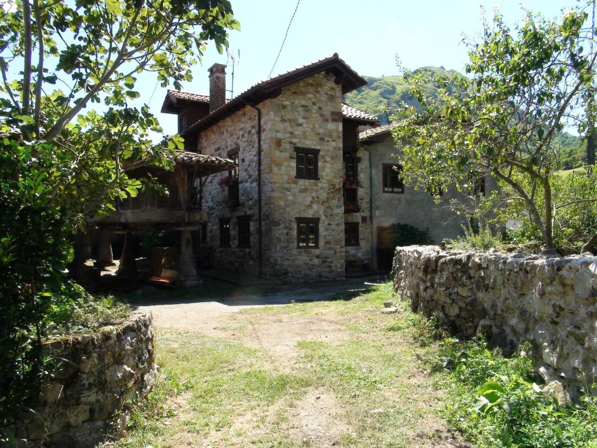 Photo 20