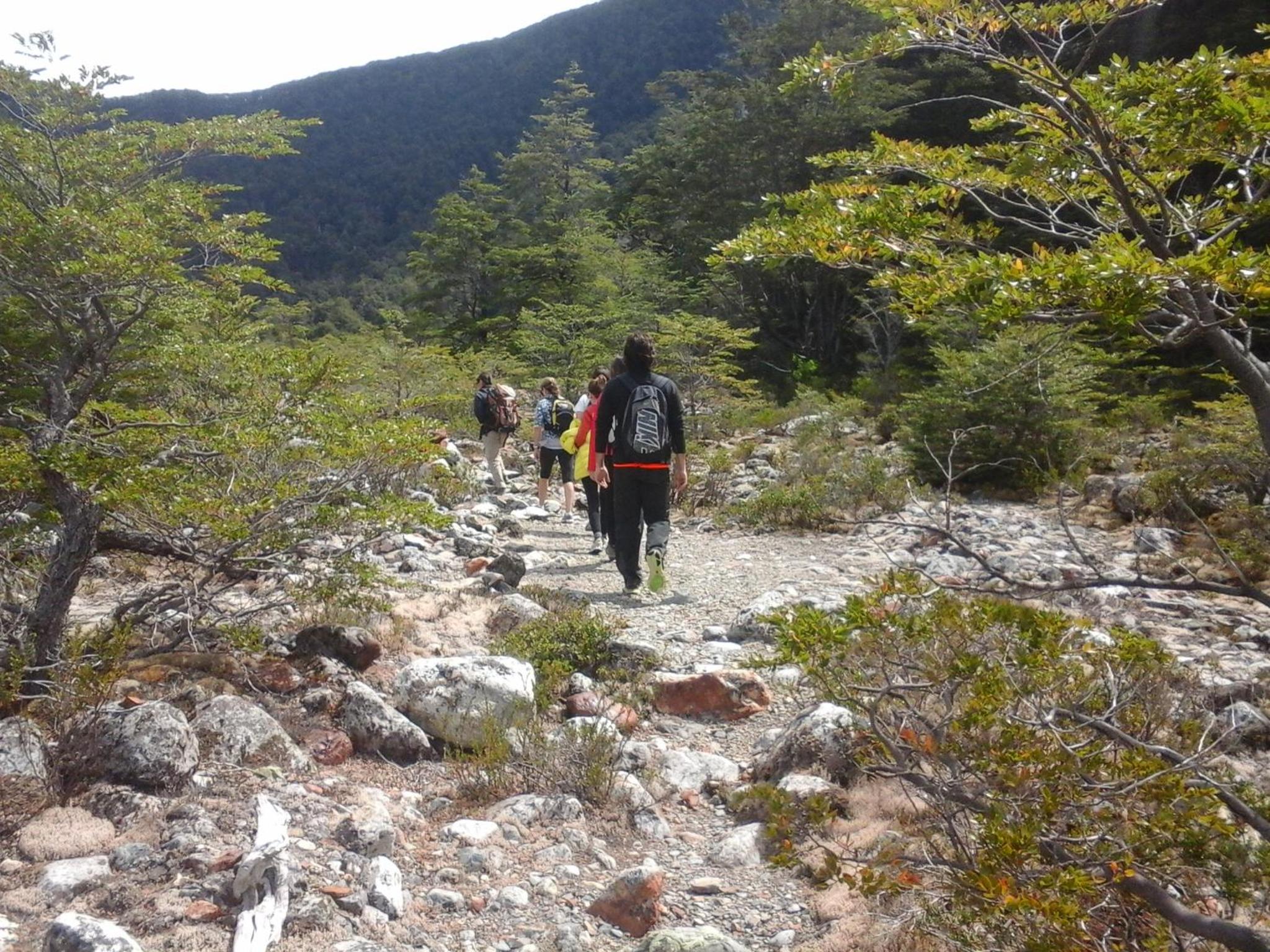 Domos El Aura - Parque Nacional Los Alerces