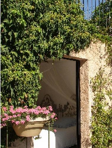L'Amandari - Provence holidays - Chambres d'hôtes avec jardin, piscine, jacuzzi, climatisation