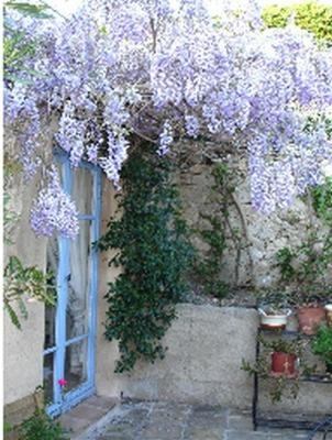 L'Amandari - Provence holidays - Chambres d'hôtes avec jardin, piscine, jacuzzi, climatisation