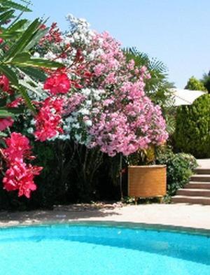 L'Amandari - Provence holidays - Chambres d'hôtes avec jardin, piscine, jacuzzi, climatisation