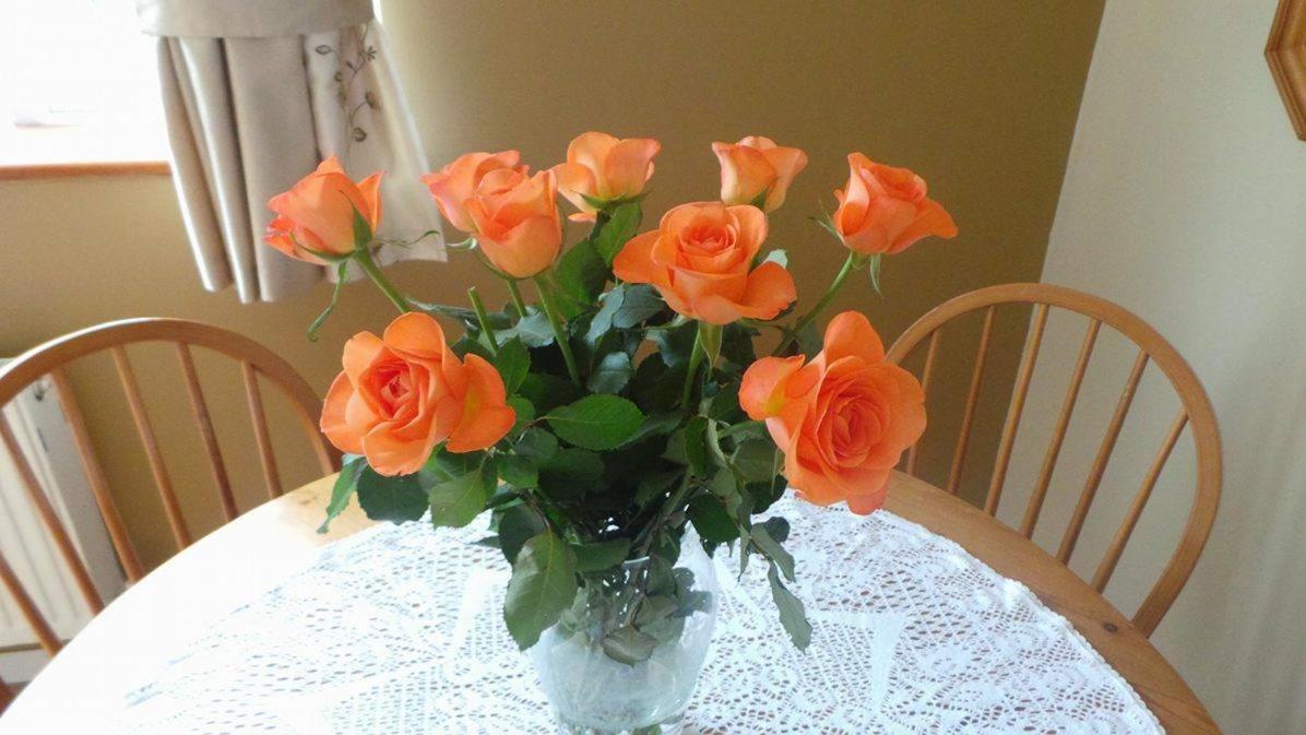 Photo 31