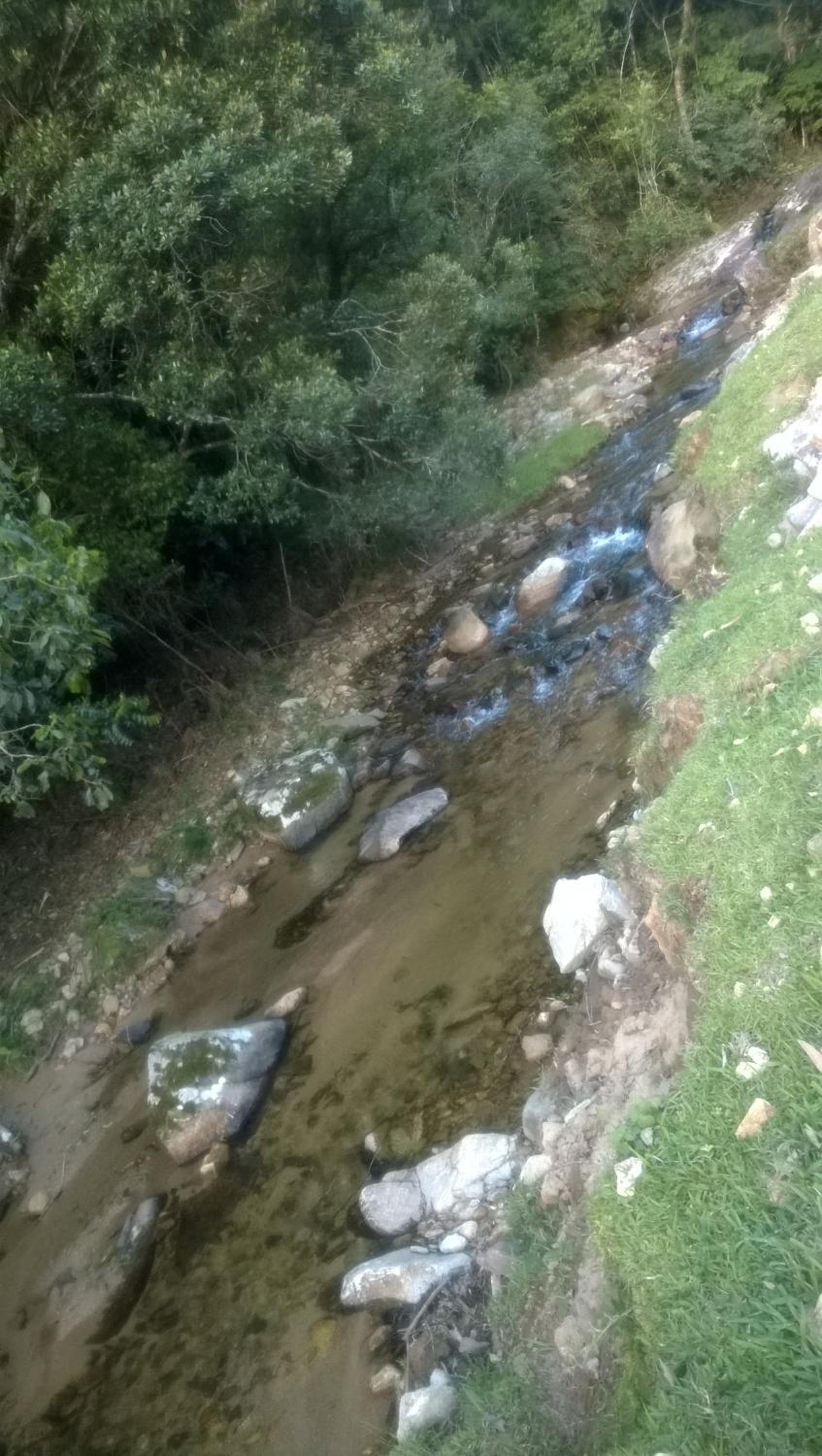 Photo 35