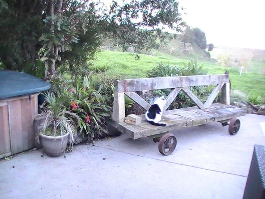 Photo 16