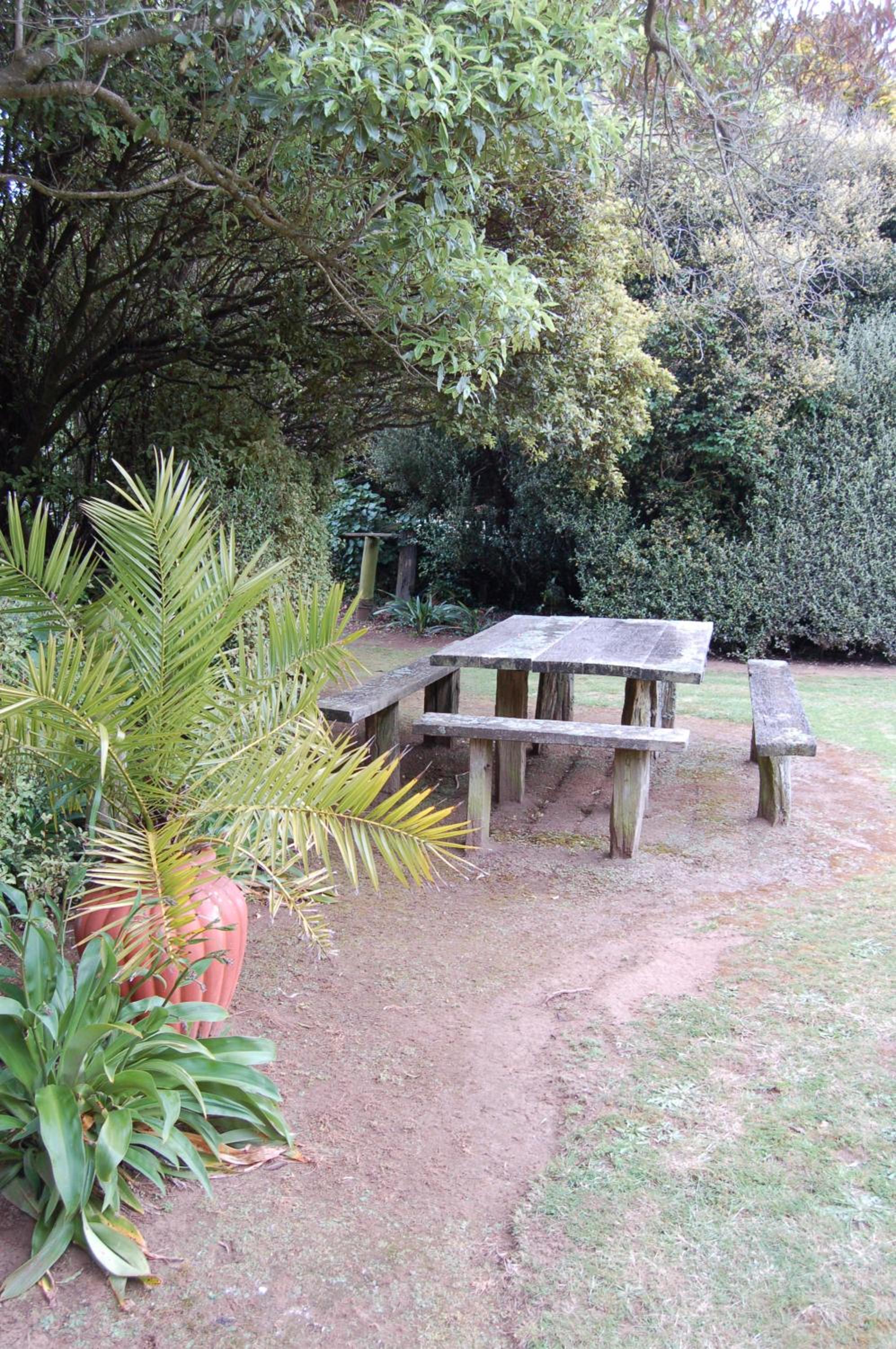 Photo 7