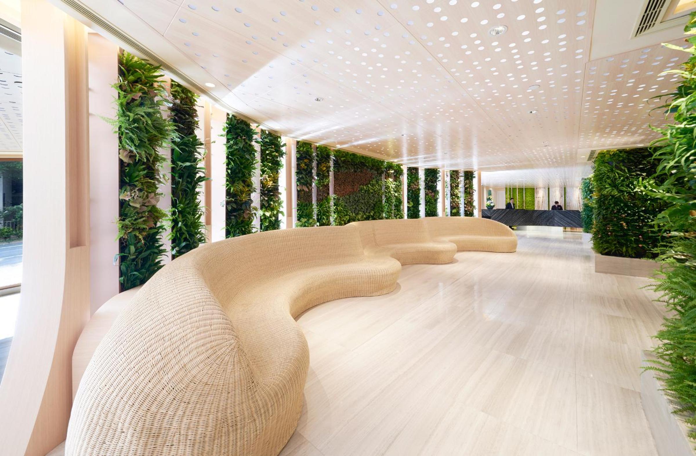 recepcion & lobby