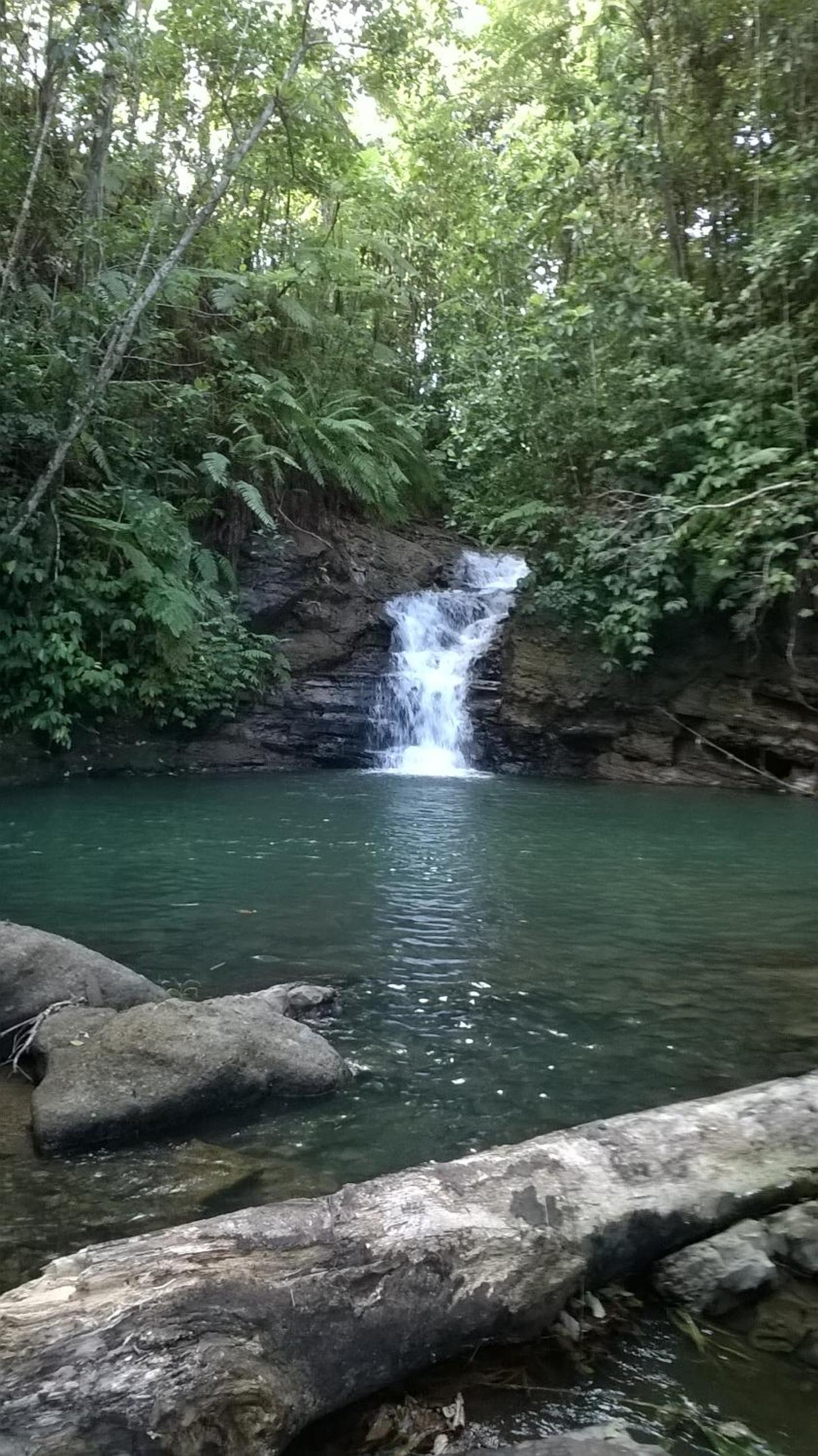 Namosi Eco Retreat - view 16