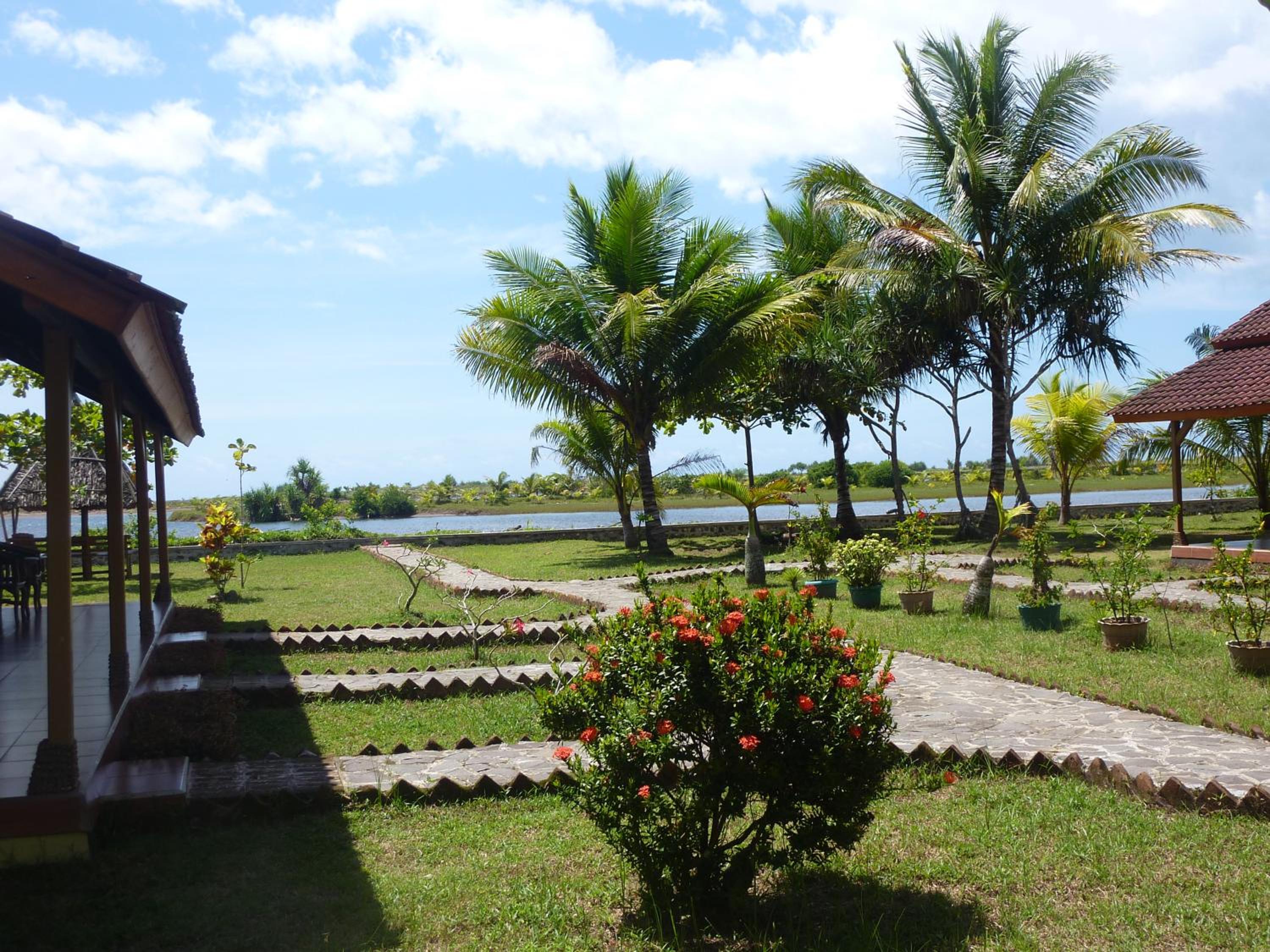 Photo 8