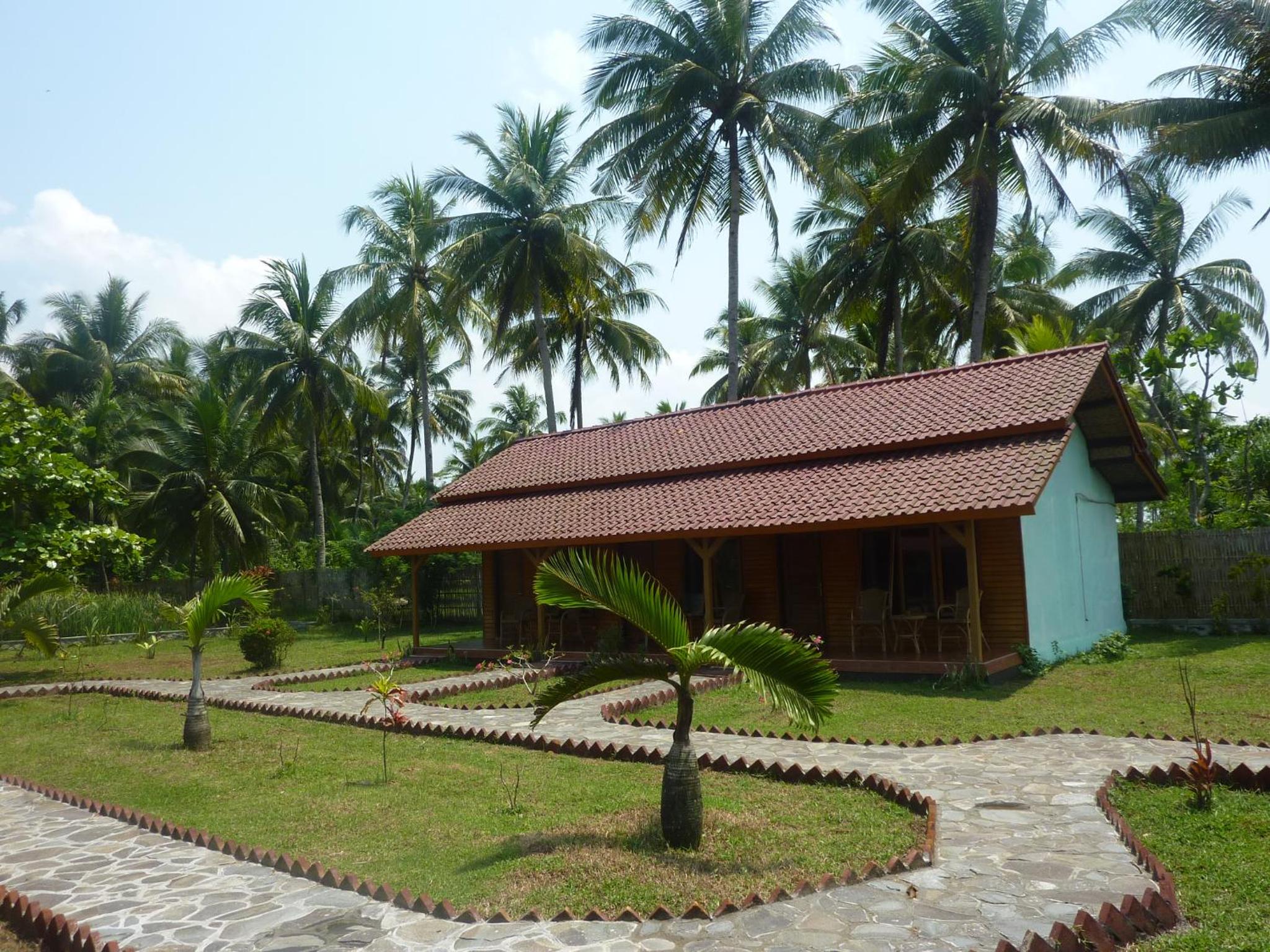 Photo 7