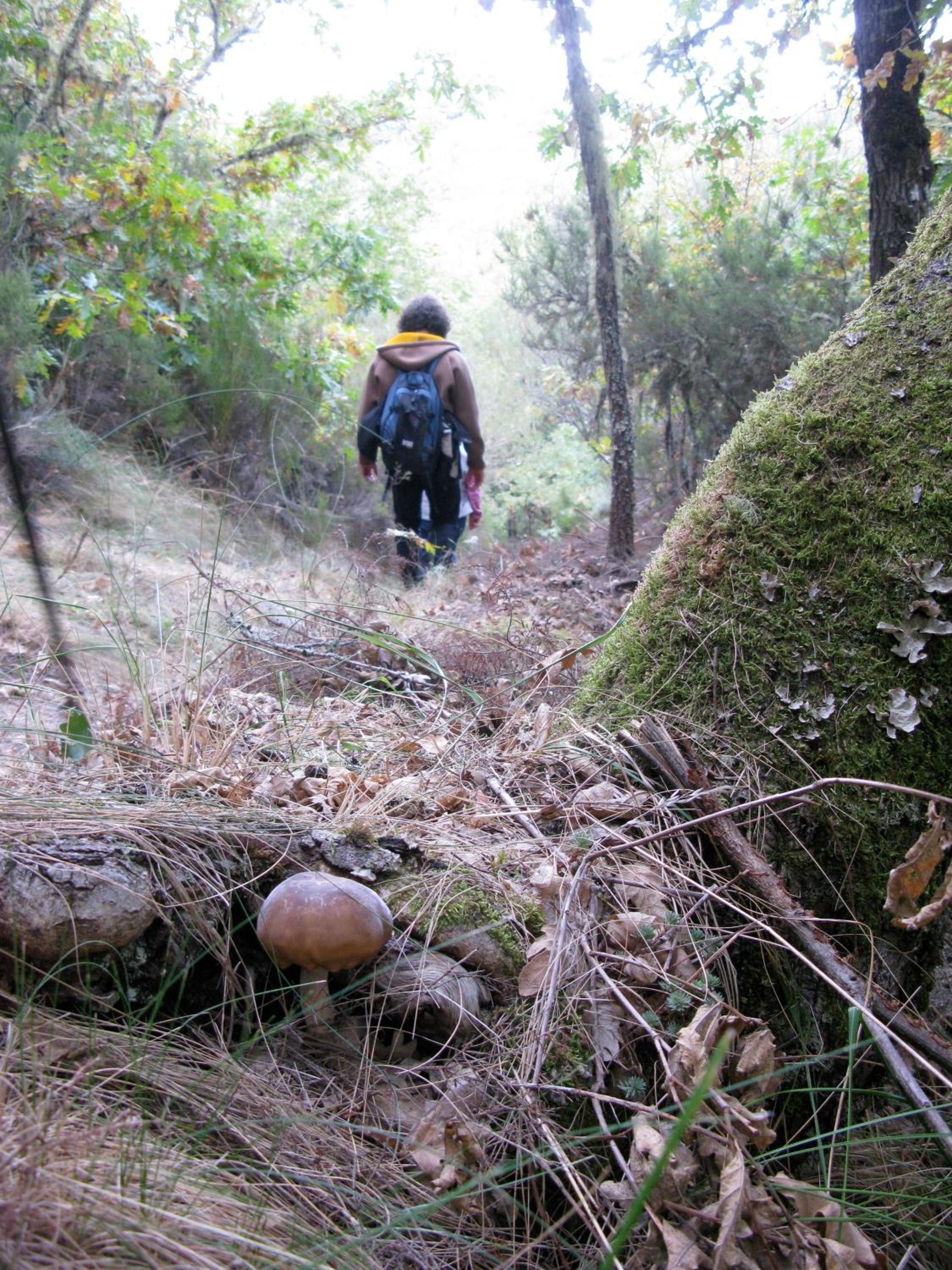 Hostería Camino