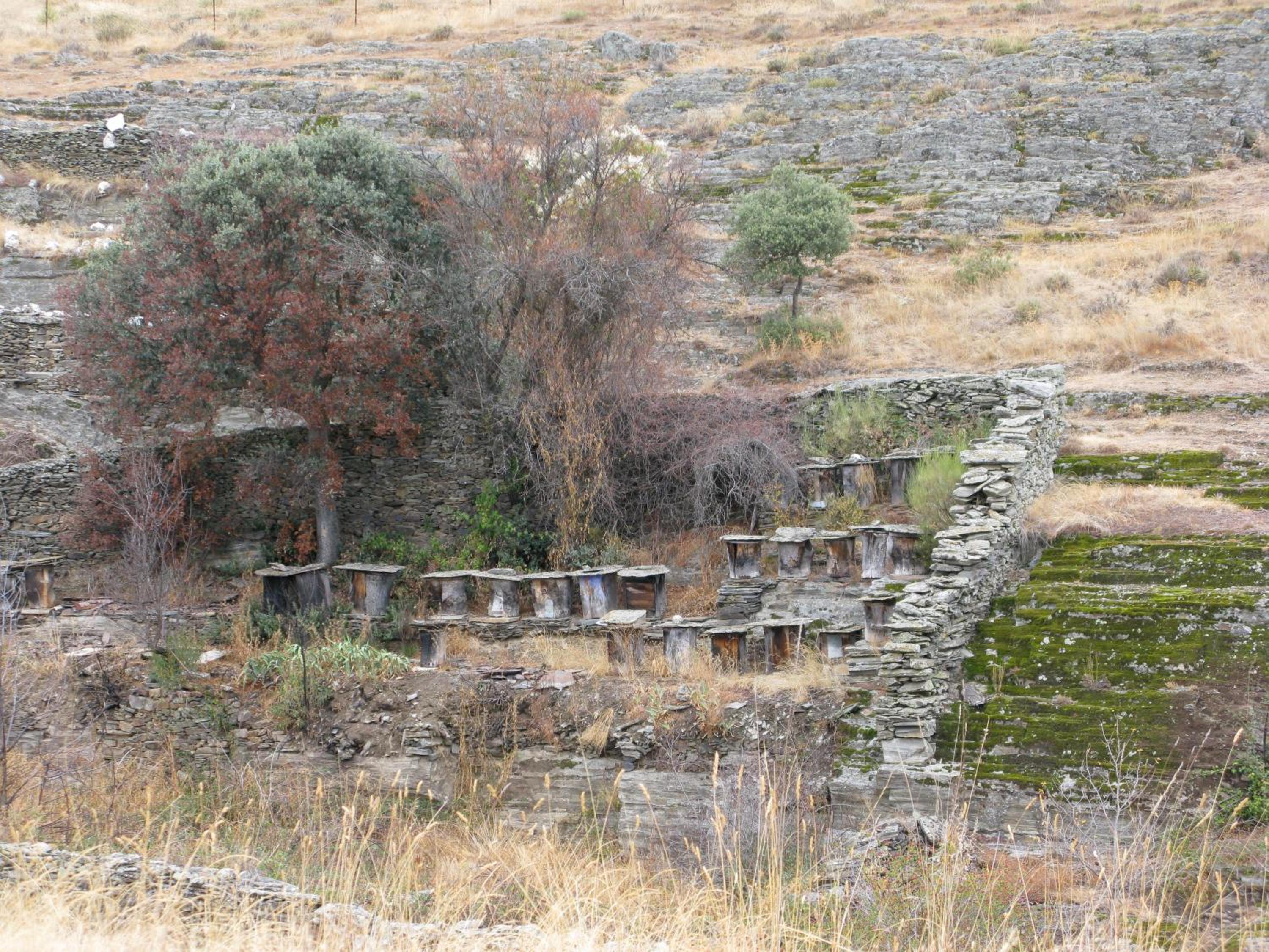 Hostería Camino