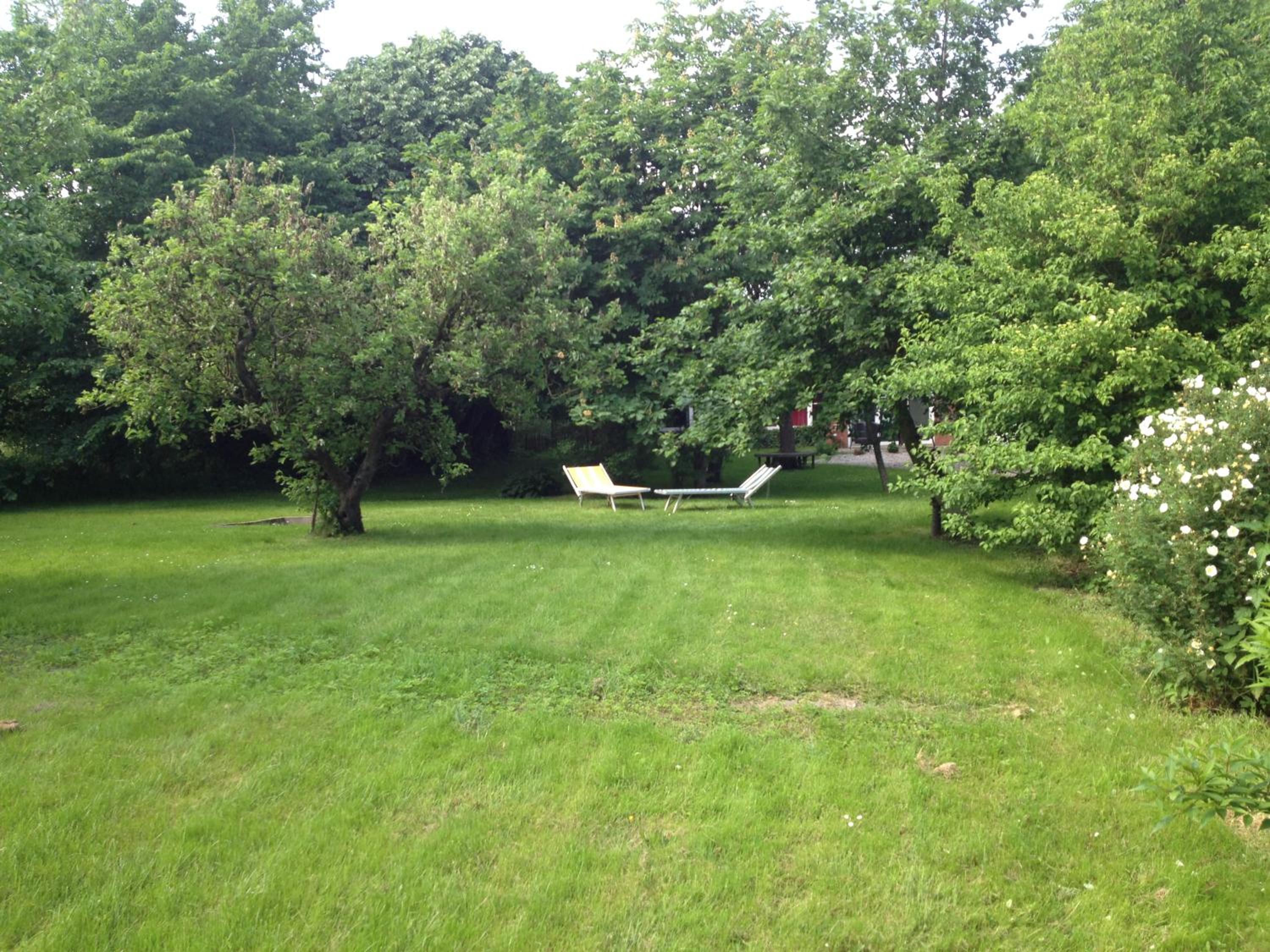 Photo 32