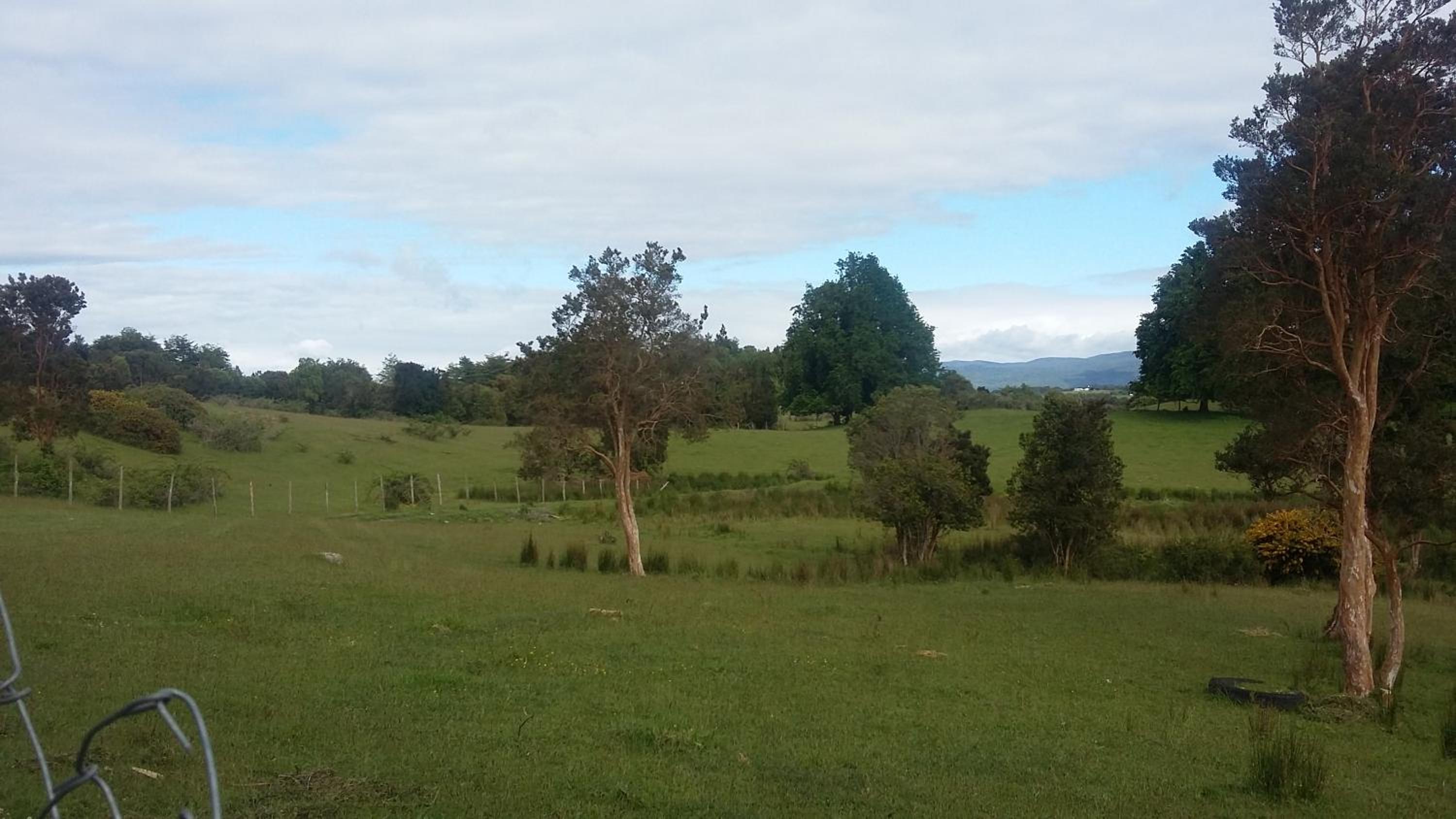 Chacra Don Benito Chonchi
